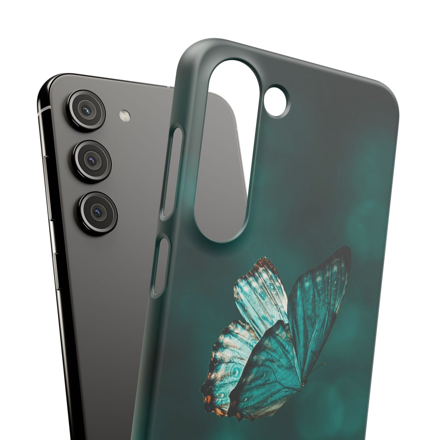 Butterfly Cajasol - Perfect for Nature Lovers
