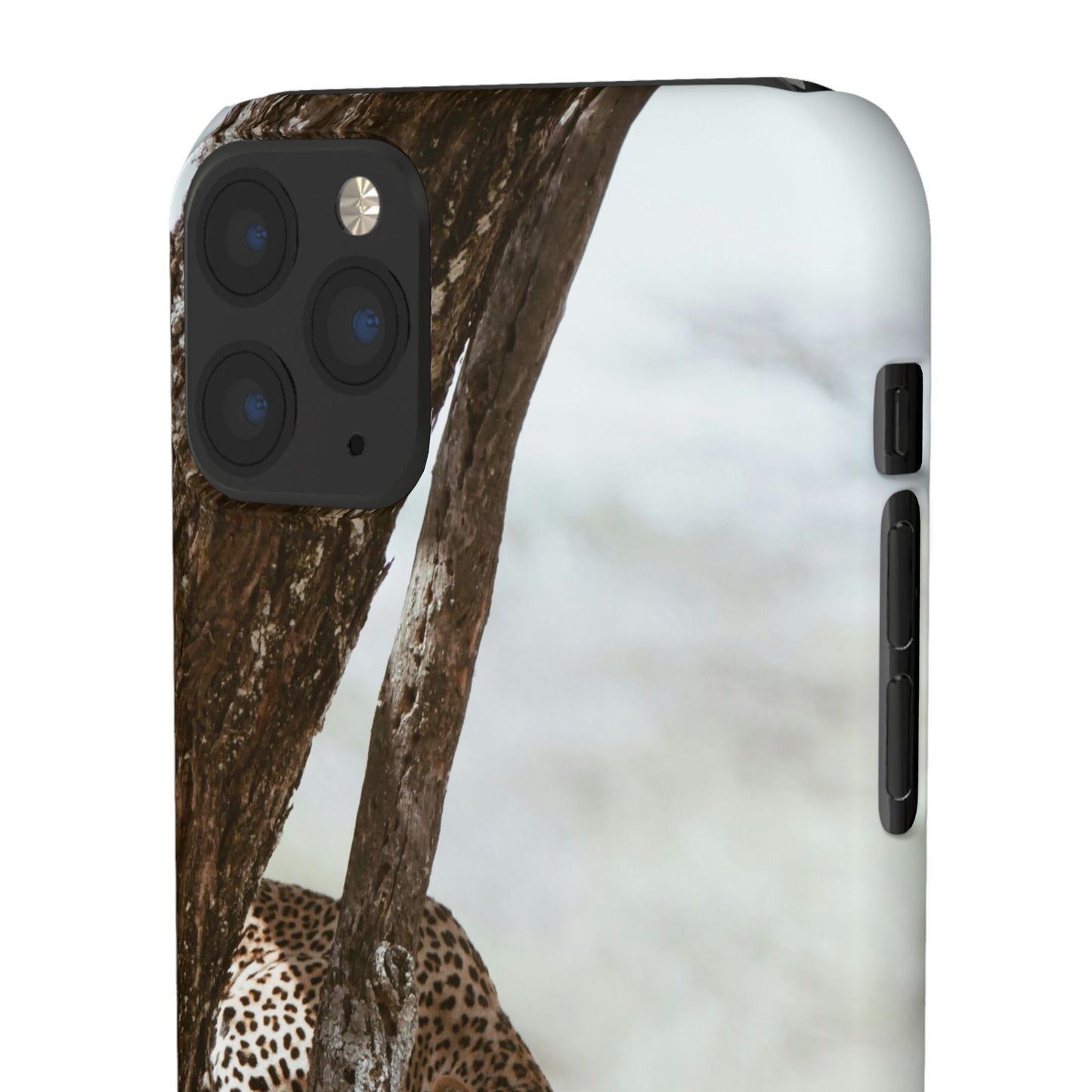 Leopard Cajasol - Wildlife Vibes