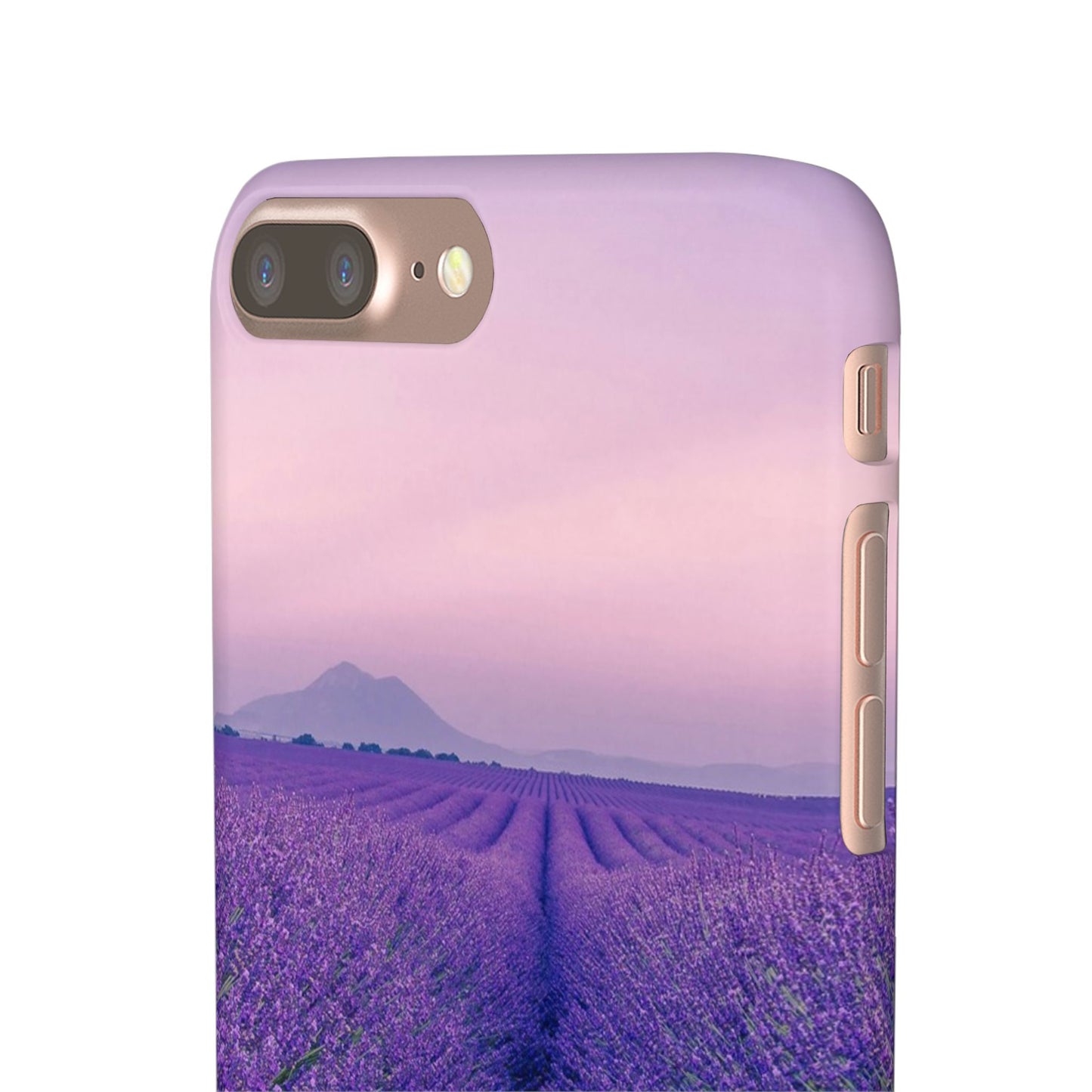 Lavender Fields Cajasol - A Floral Touch for Nature Lovers
