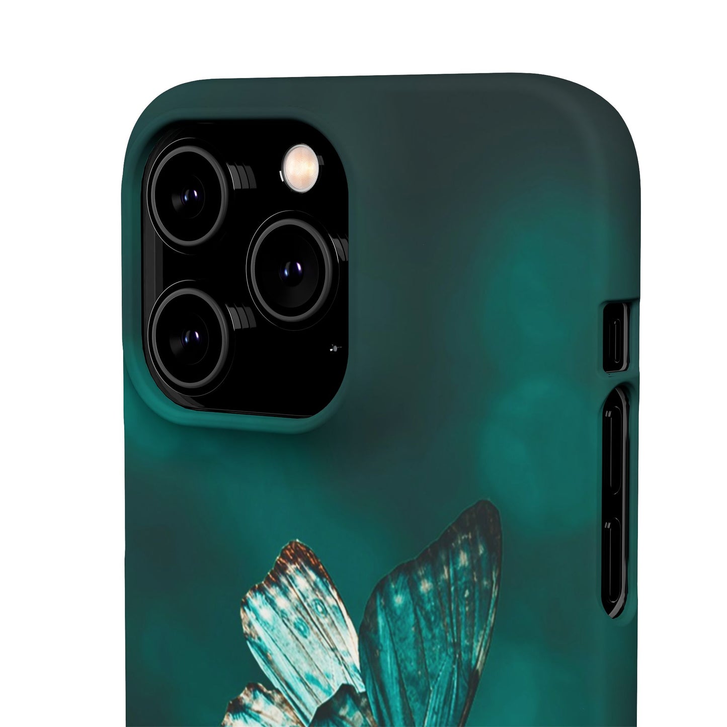 Butterfly Cajasol - Perfect for Nature Lovers