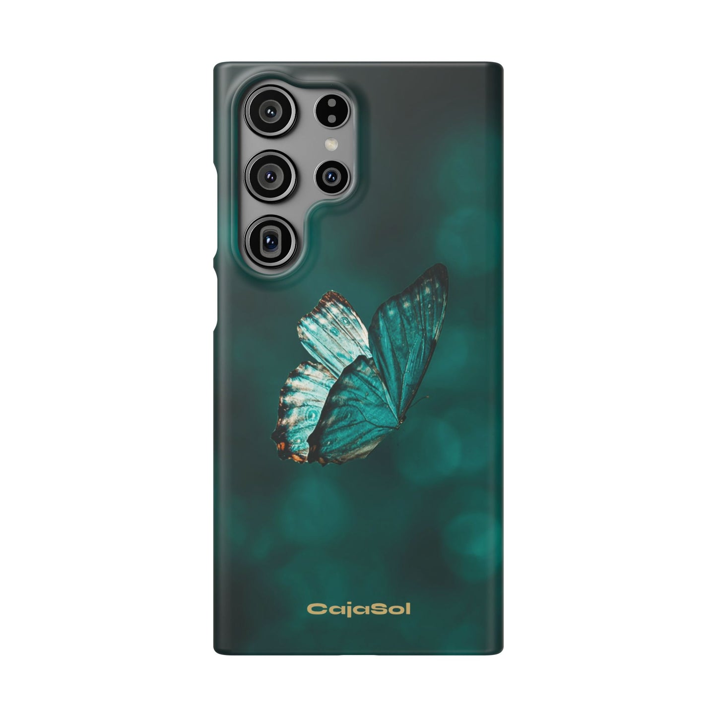 Butterfly Cajasol - Perfect for Nature Lovers