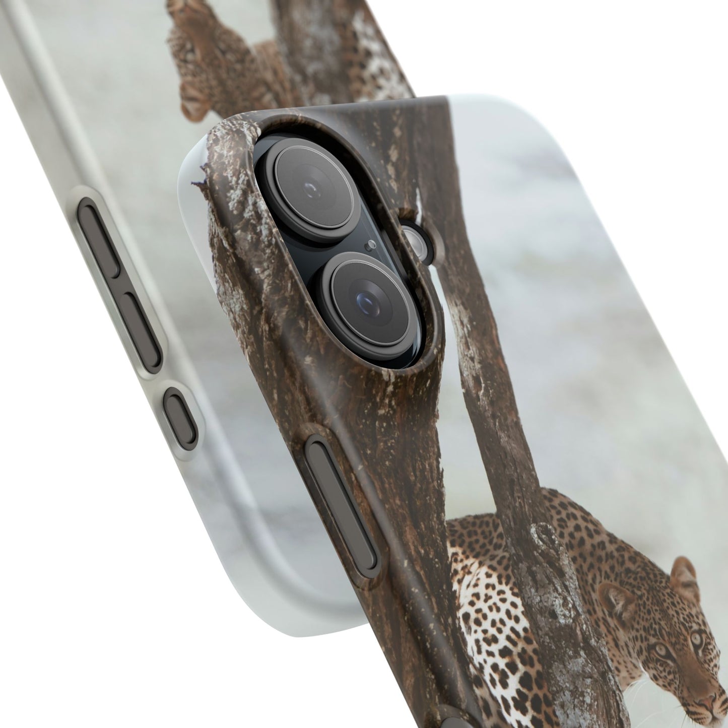 Leopard Cajasol - Wildlife Vibes