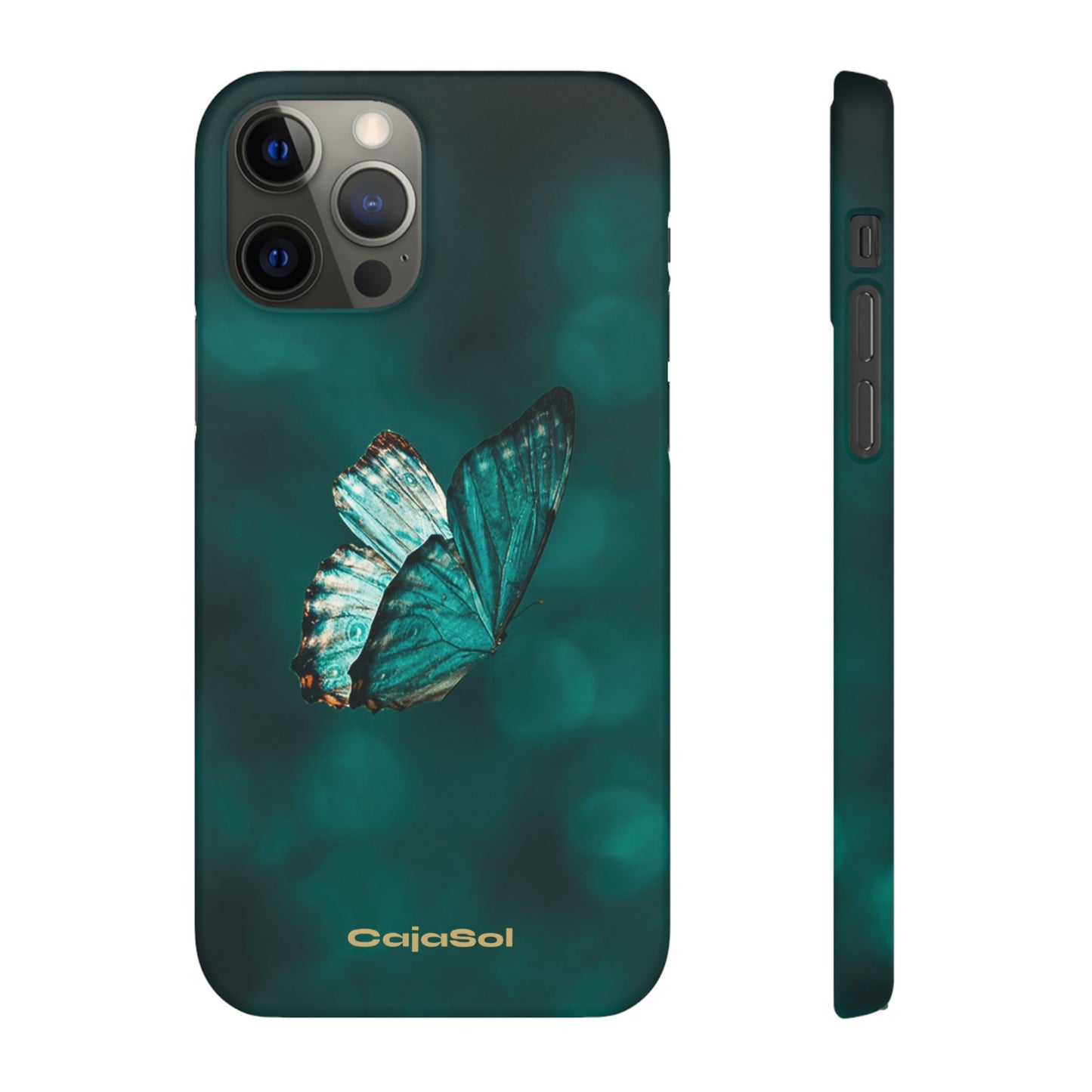 Butterfly Cajasol - Perfect for Nature Lovers