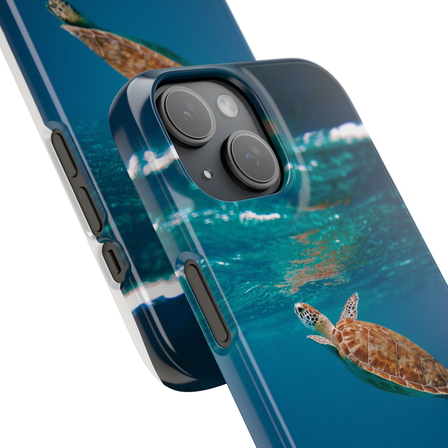 Sea Turtle Cajasol - Perfect for Beach Lovers