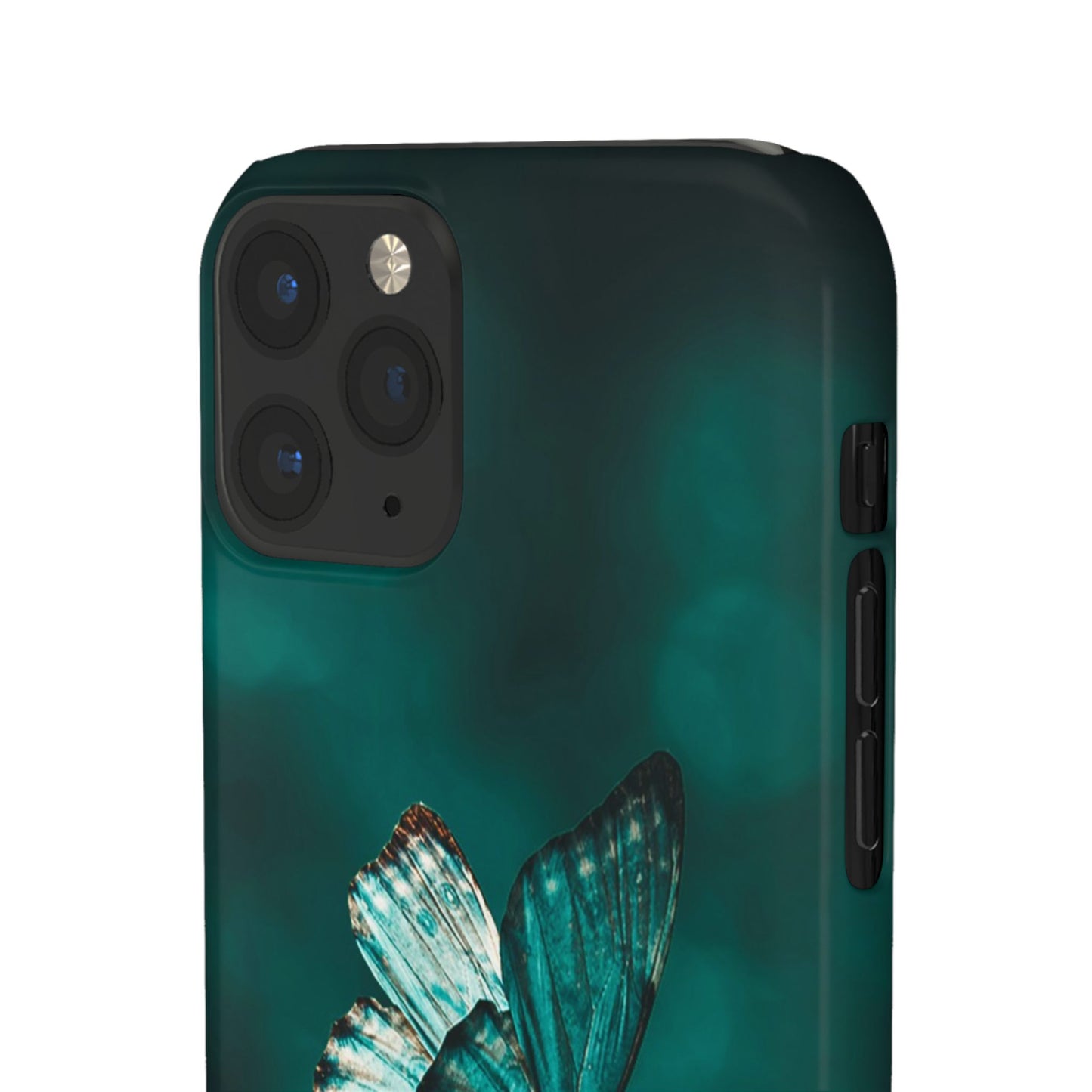 Butterfly Cajasol - Perfect for Nature Lovers