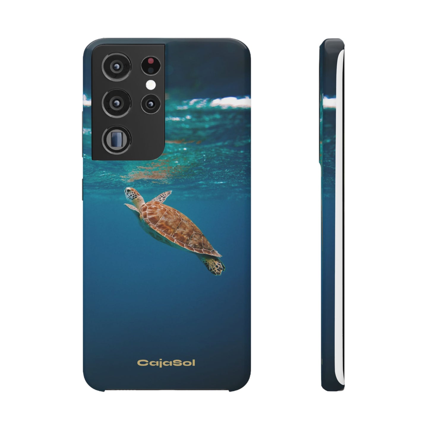 Sea Turtle Cajasol - Perfect for Beach Lovers