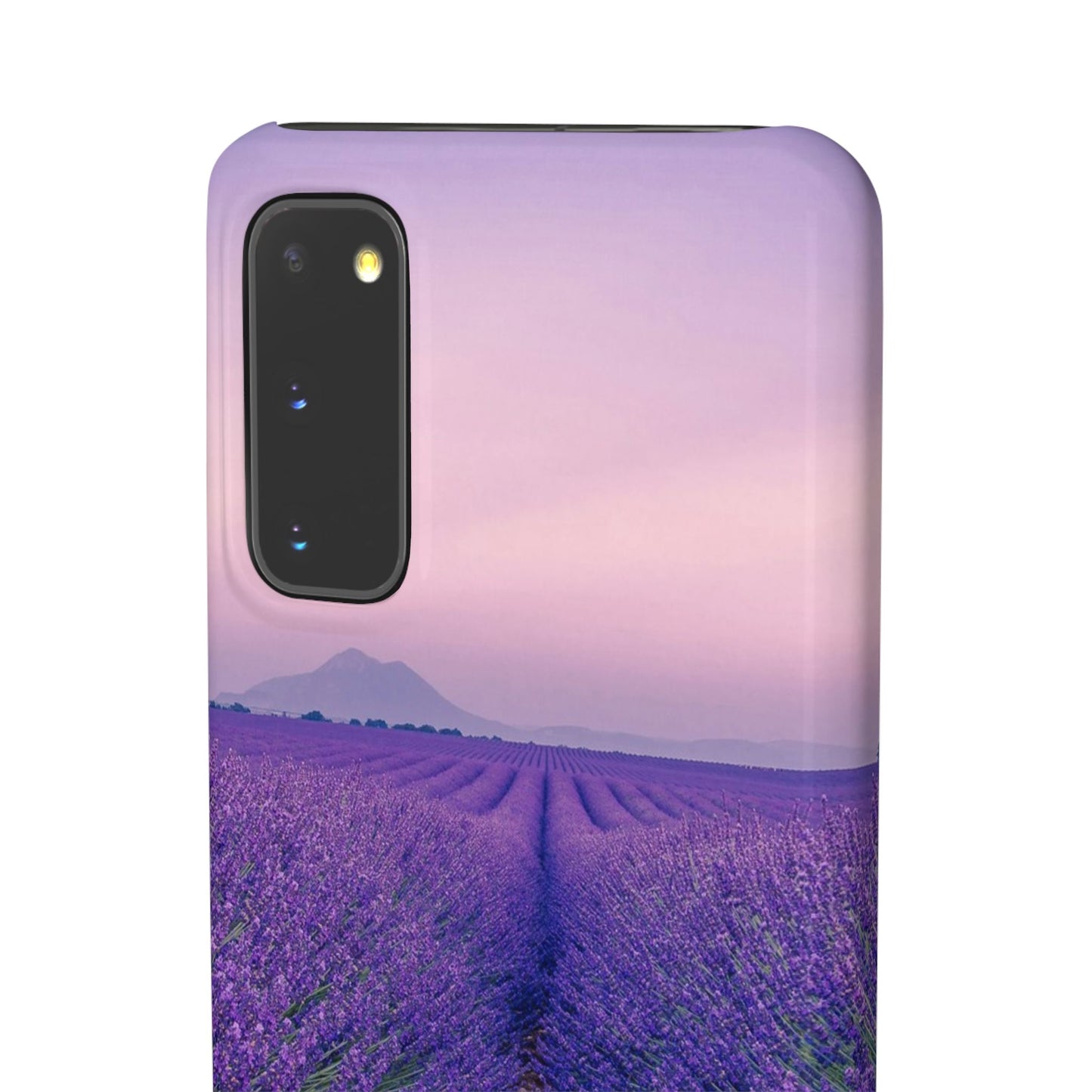 Lavender Fields Cajasol - A Floral Touch for Nature Lovers