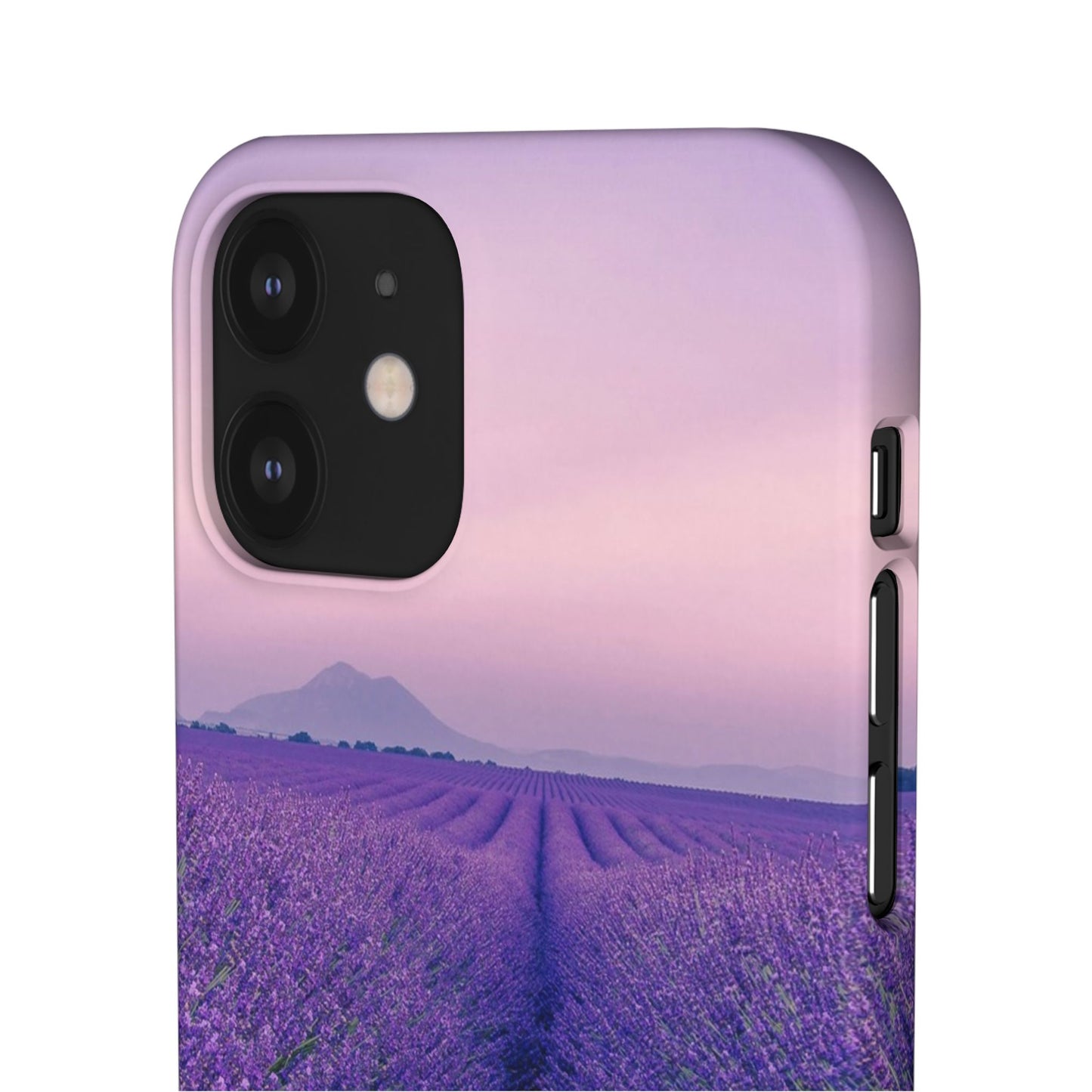 Lavender Fields Cajasol - A Floral Touch for Nature Lovers