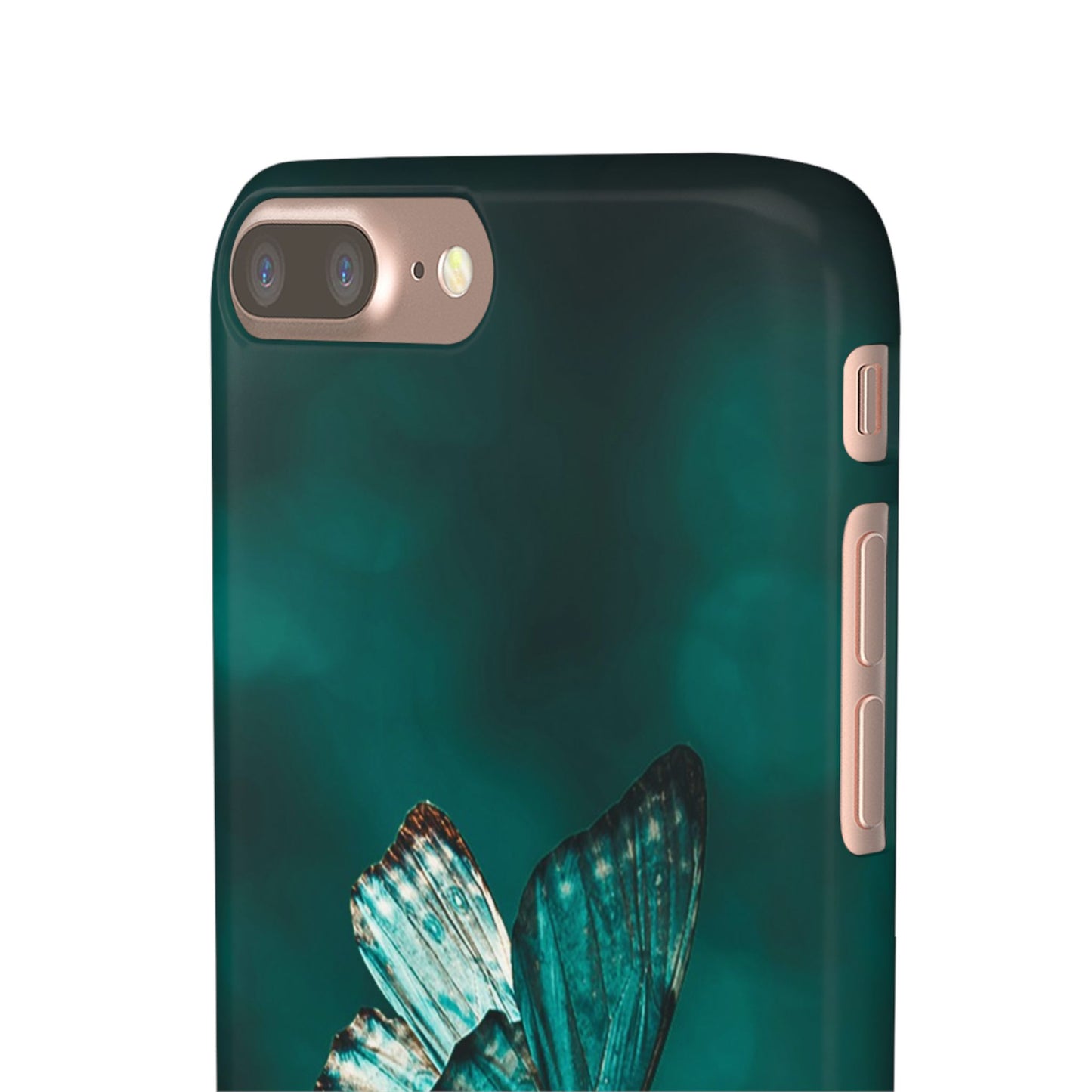 Butterfly Cajasol - Perfect for Nature Lovers