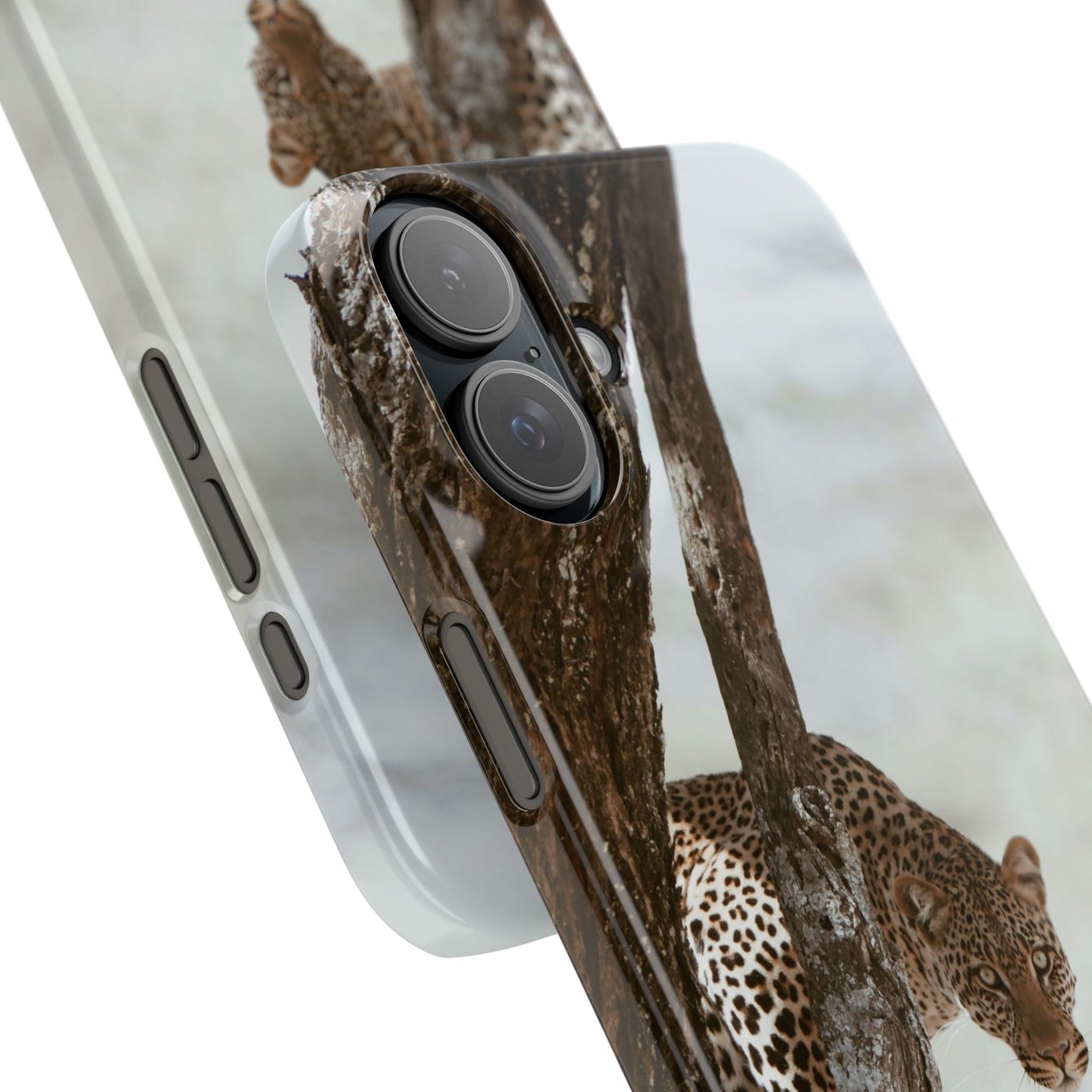 Leopard Cajasol - Wildlife Vibes