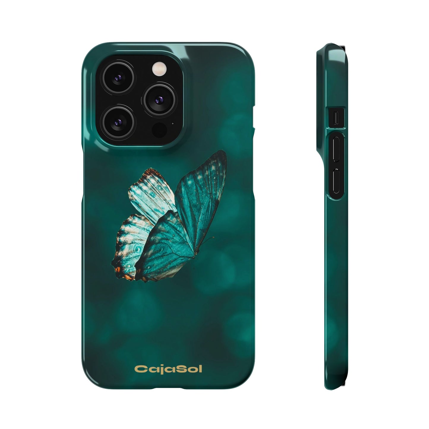 Butterfly Cajasol - Perfect for Nature Lovers