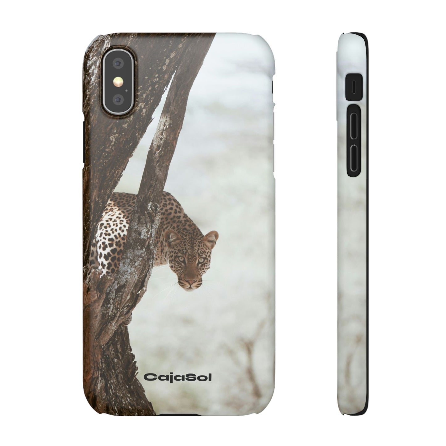 Leopard Cajasol - Wildlife Vibes