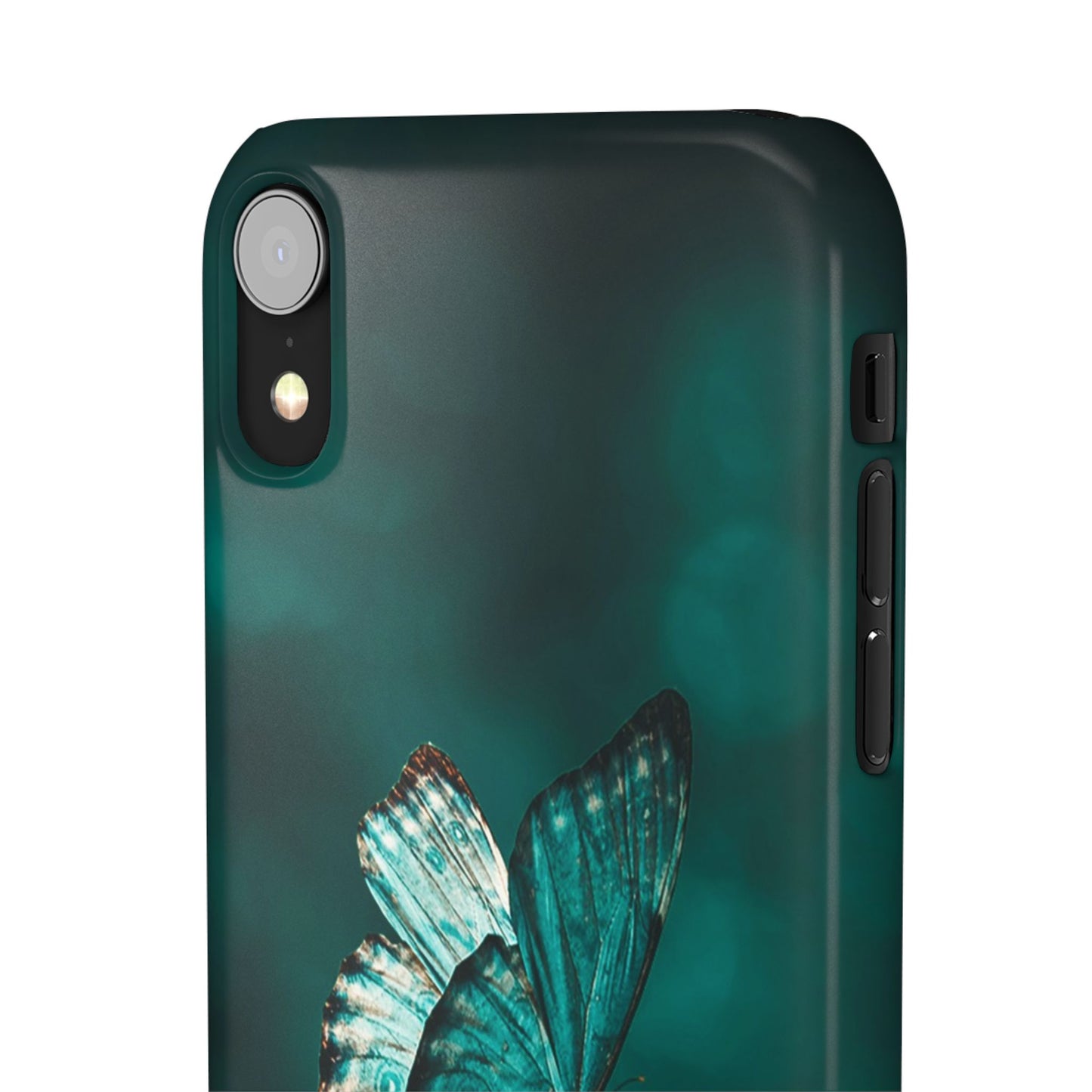 Butterfly Cajasol - Perfect for Nature Lovers