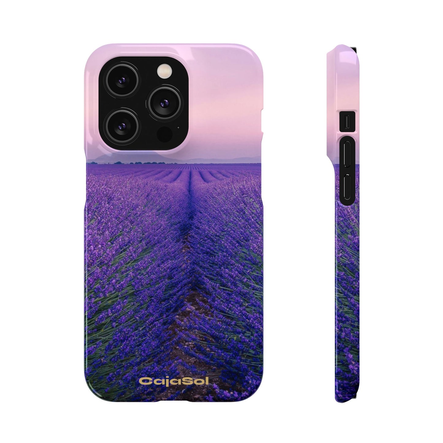 Lavender Fields Cajasol - A Floral Touch for Nature Lovers