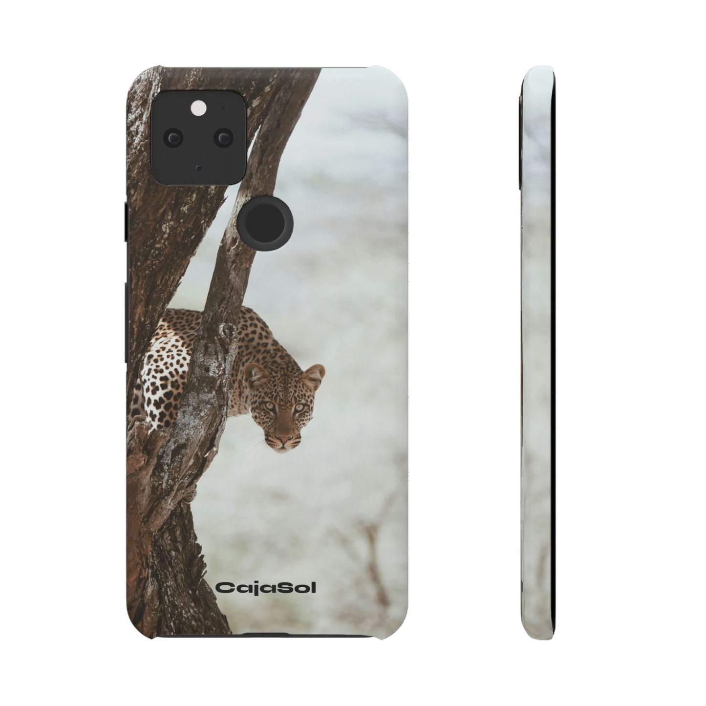 Leopard Cajasol - Wildlife Vibes