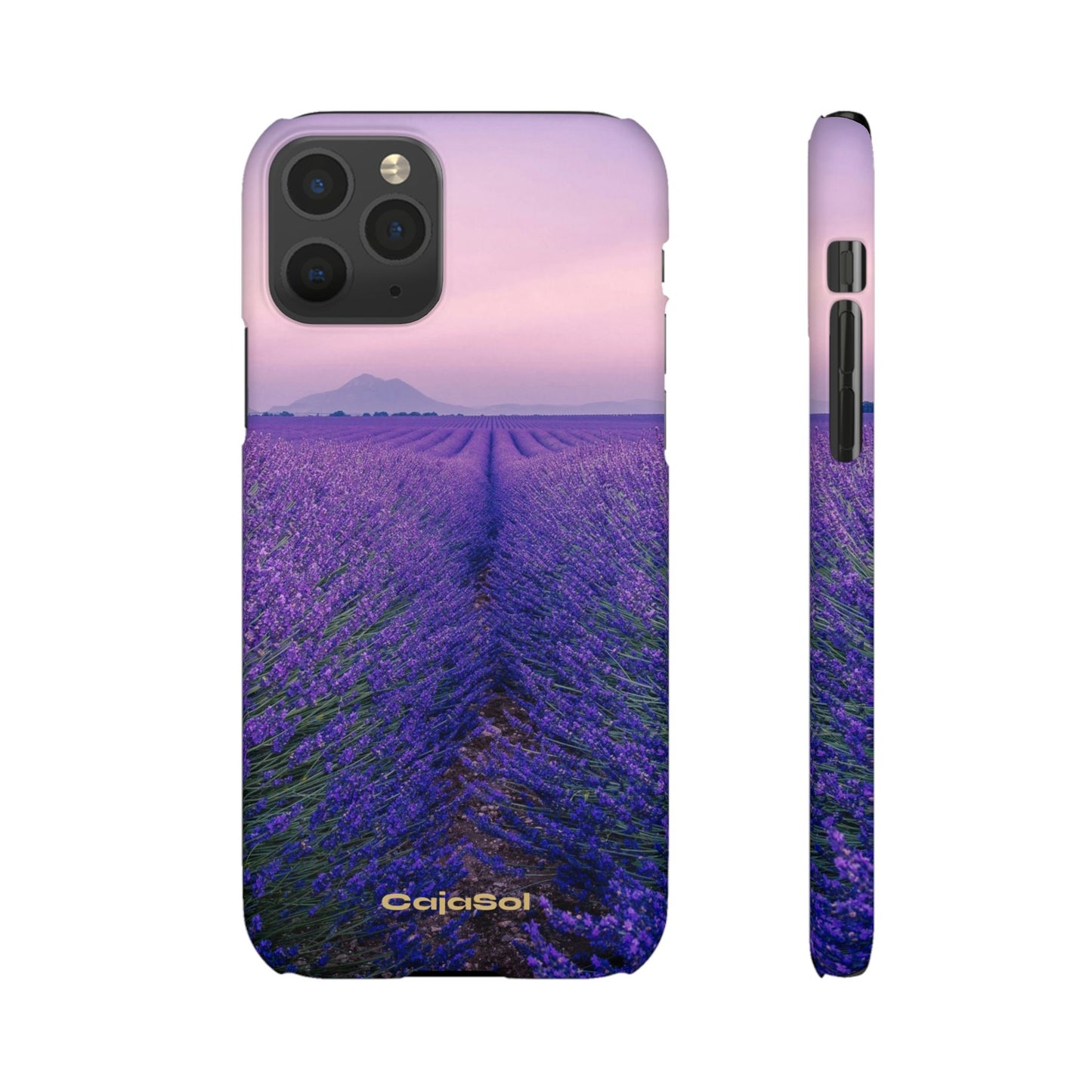 Lavender Fields Cajasol - A Floral Touch for Nature Lovers