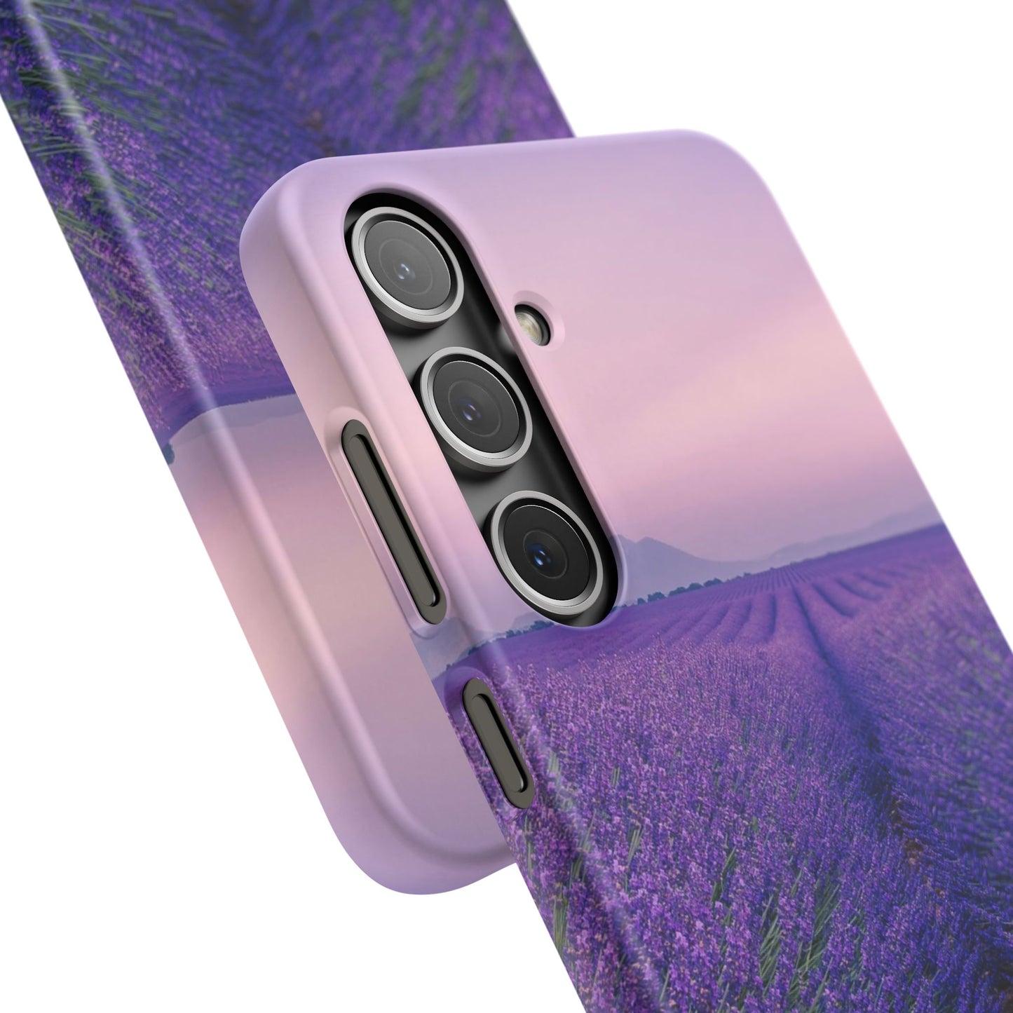 Lavender Fields Cajasol - A Floral Touch for Nature Lovers