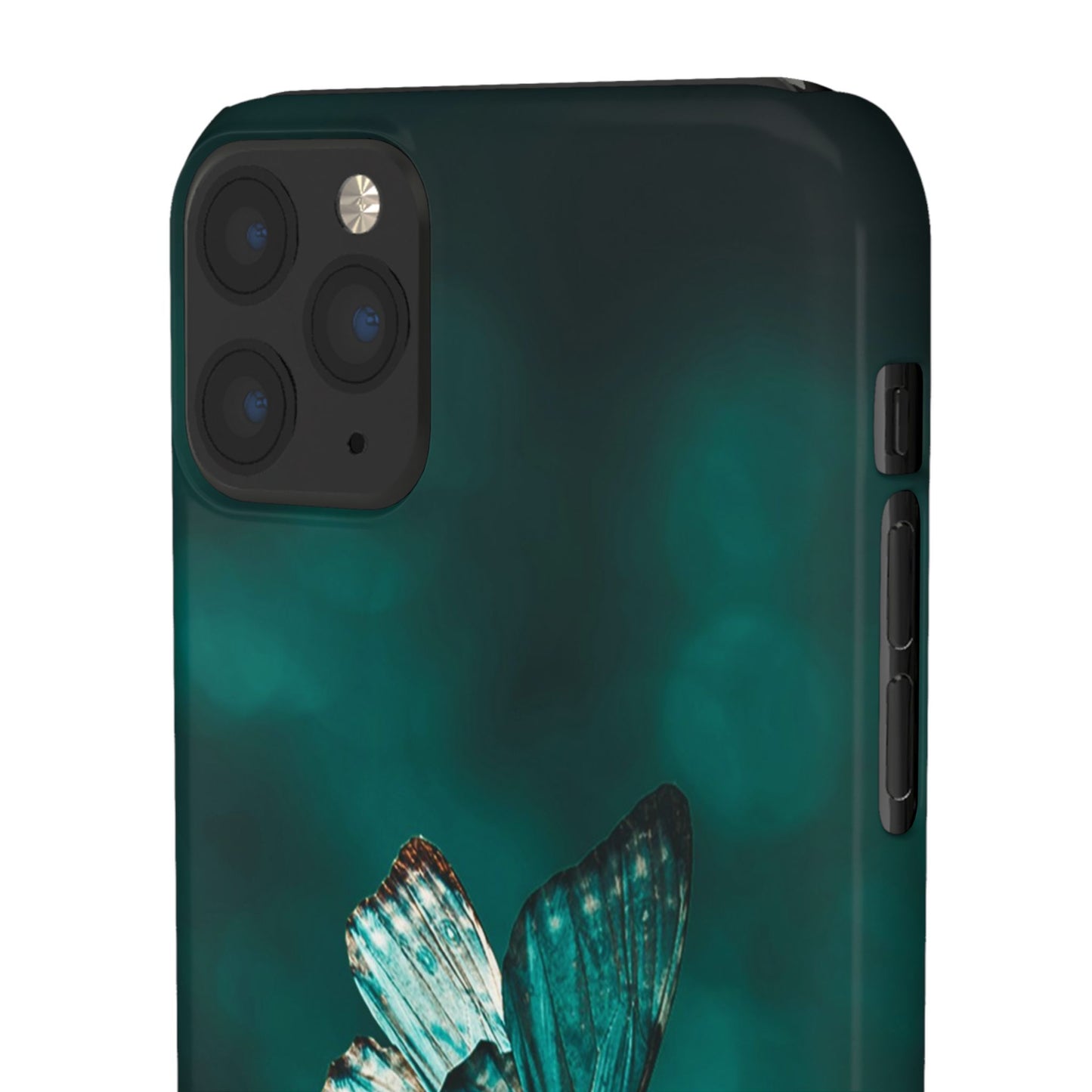 Butterfly Cajasol - Perfect for Nature Lovers