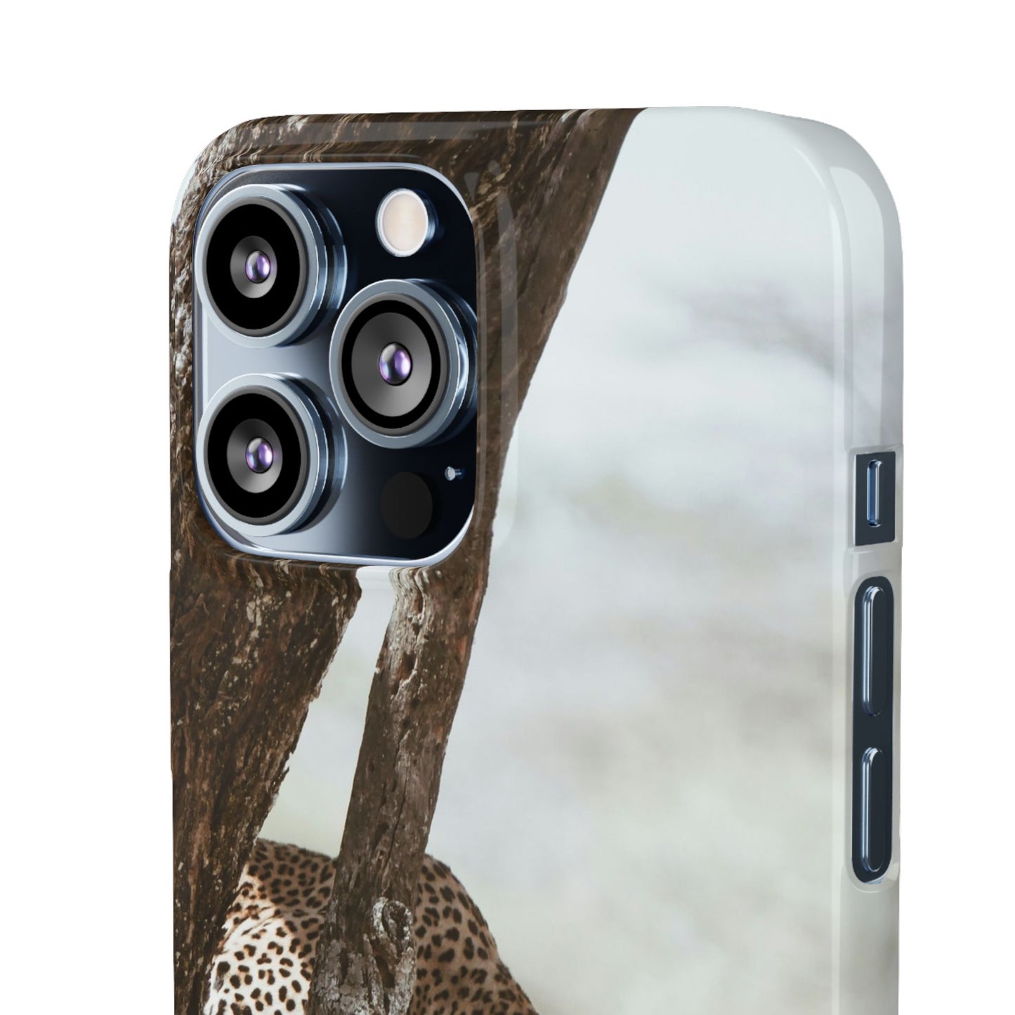 Leopard Cajasol - Wildlife Vibes