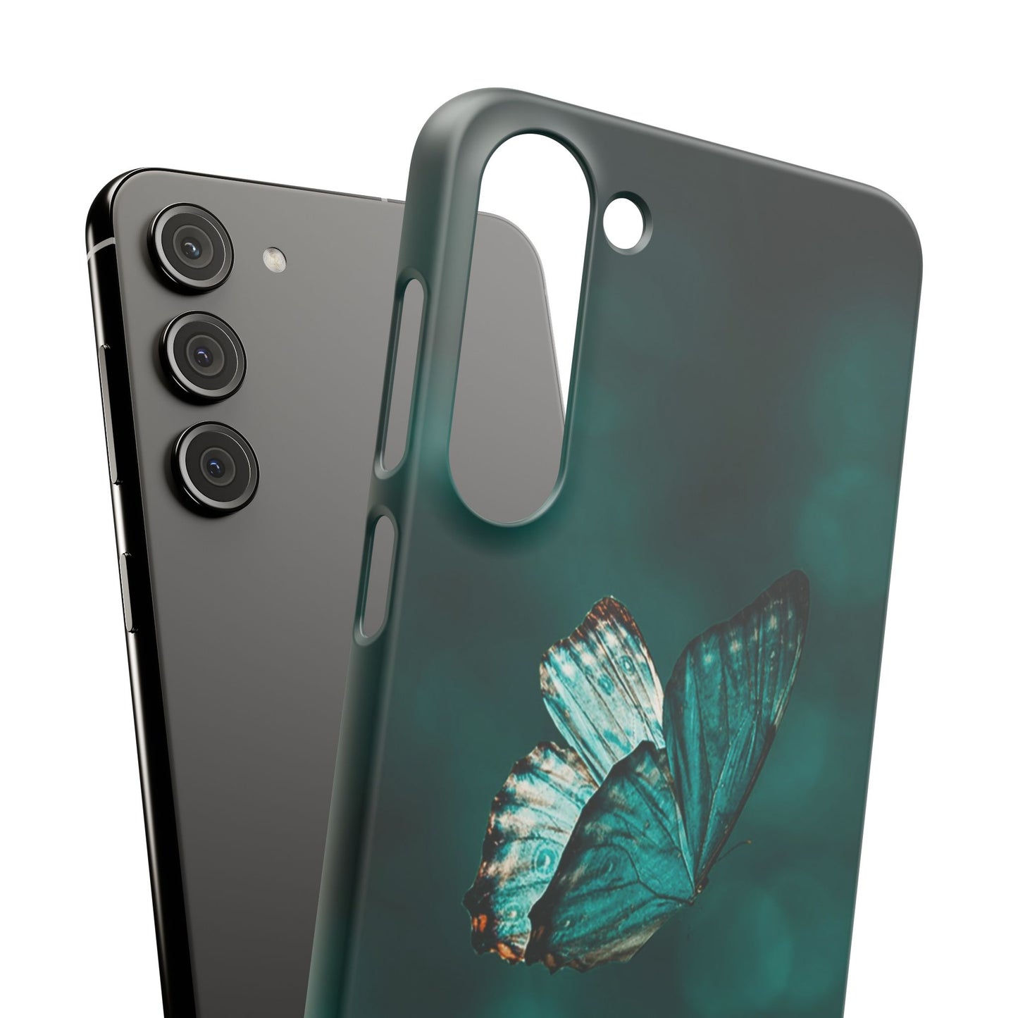 Butterfly Cajasol - Perfect for Nature Lovers