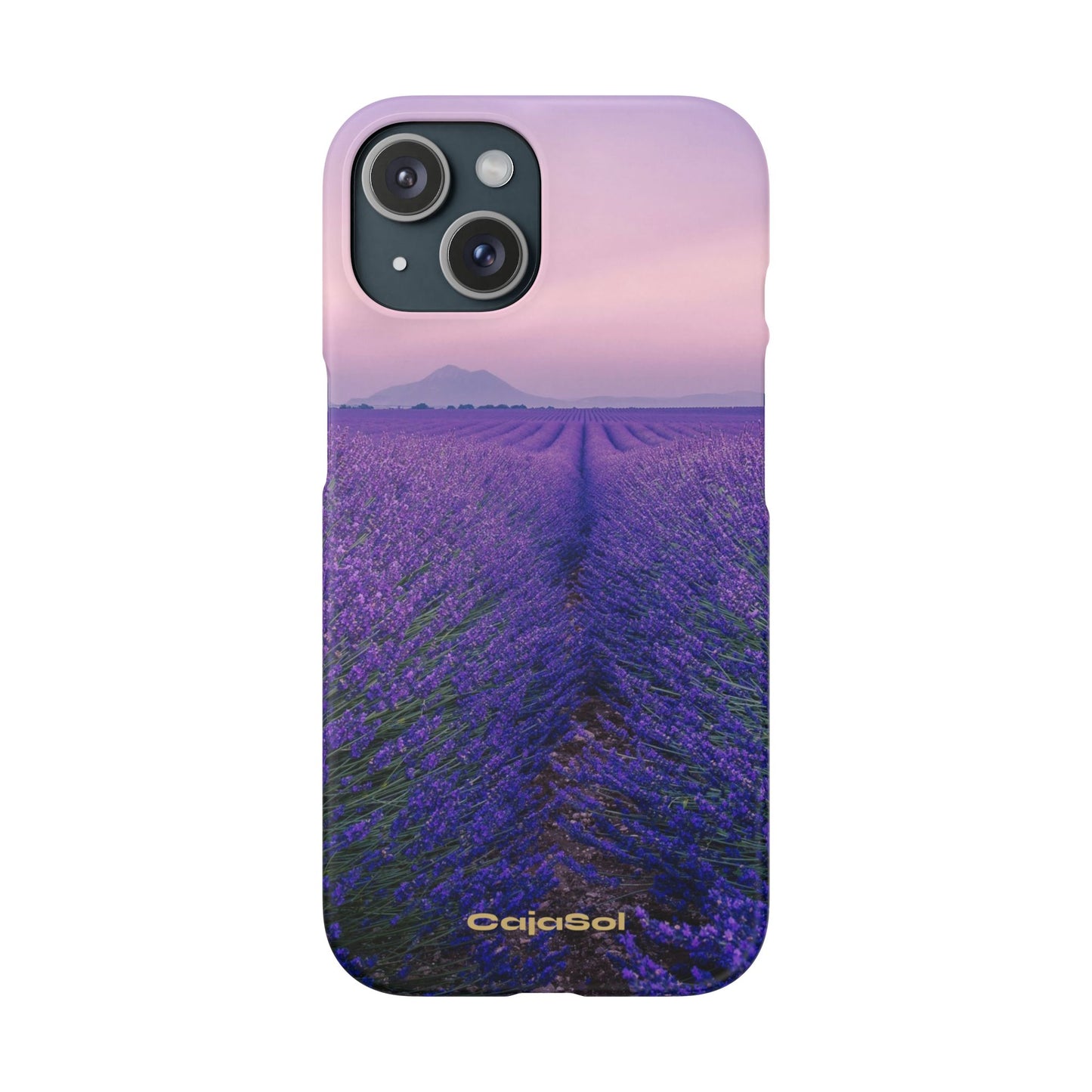 Lavender Fields Cajasol - A Floral Touch for Nature Lovers