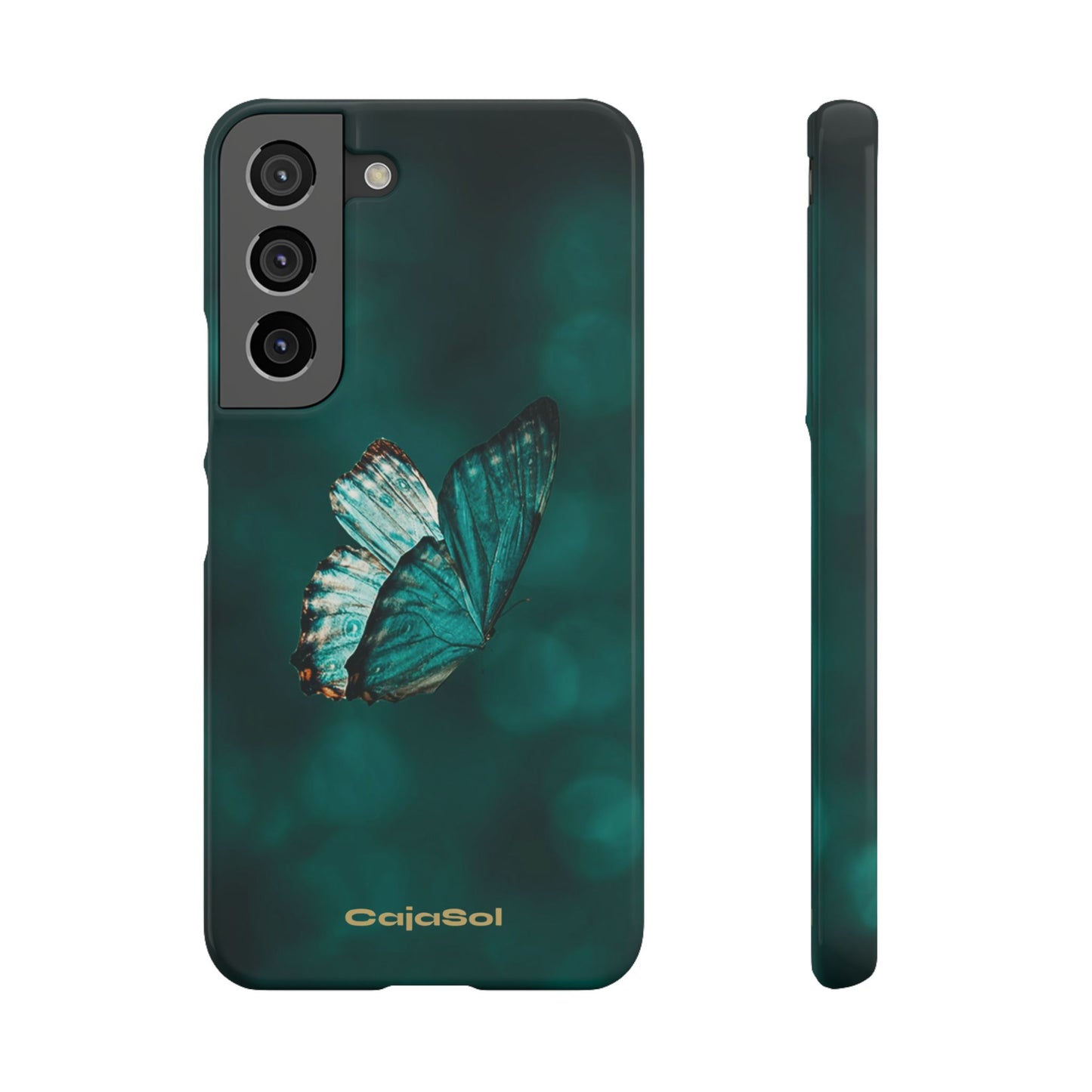 Butterfly Cajasol - Perfect for Nature Lovers