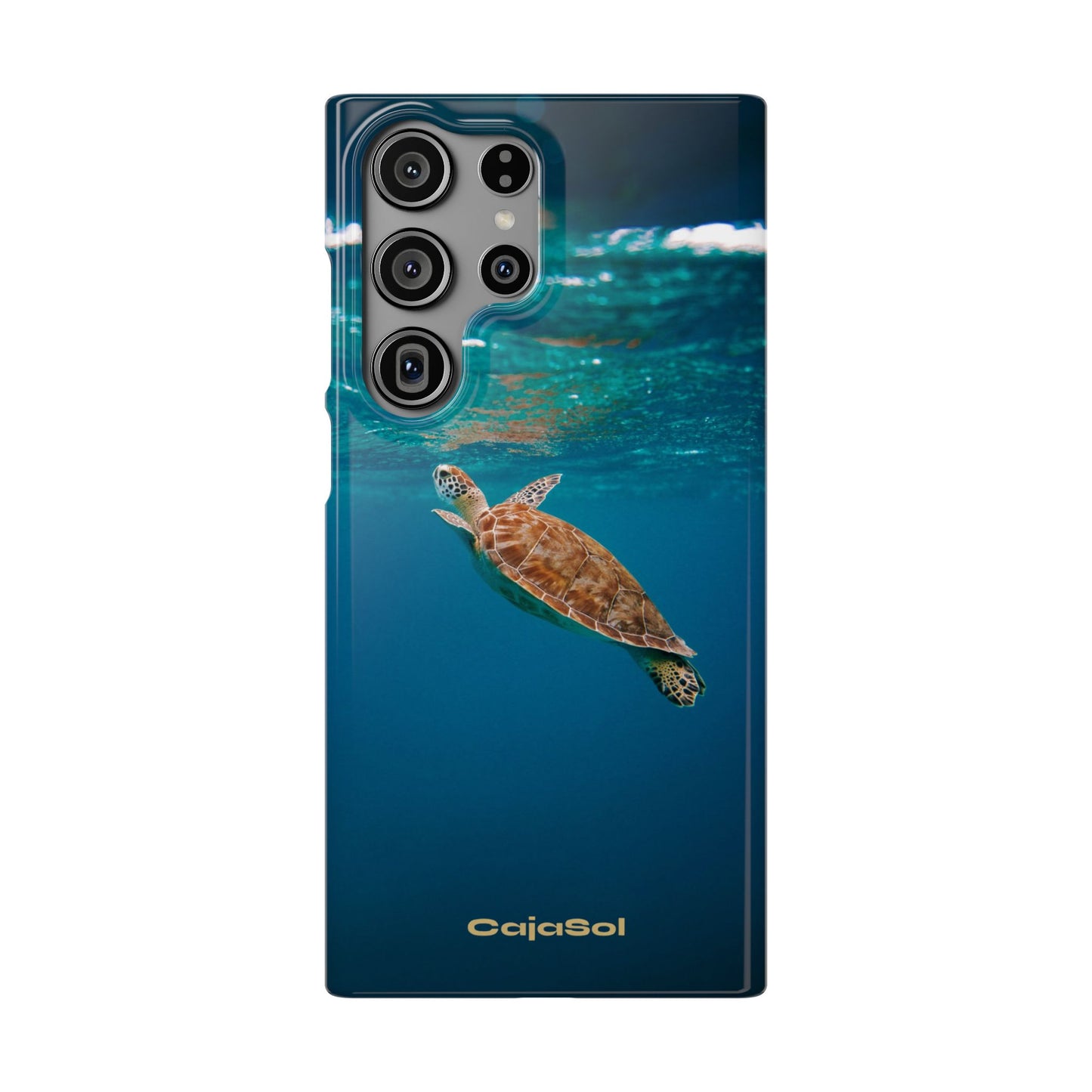 Sea Turtle Cajasol - Perfect for Beach Lovers