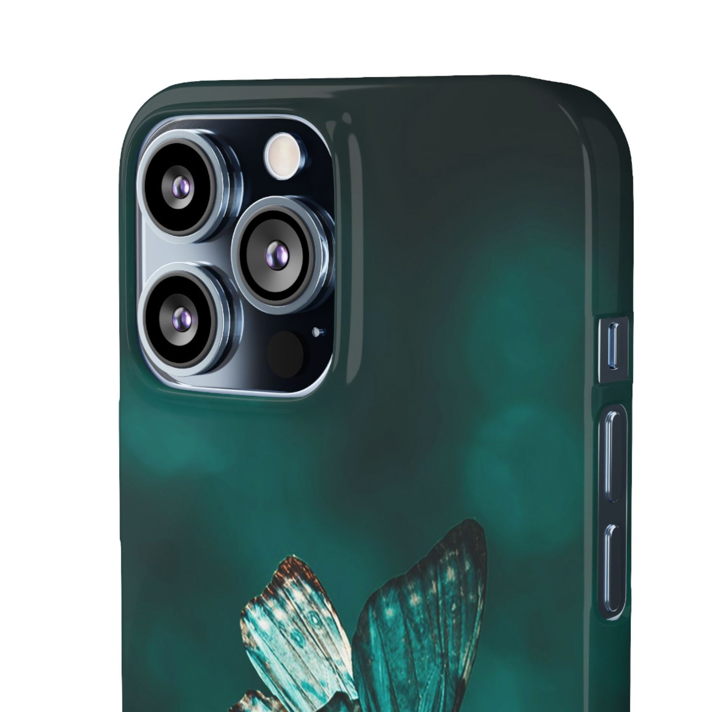 Butterfly Cajasol - Perfect for Nature Lovers