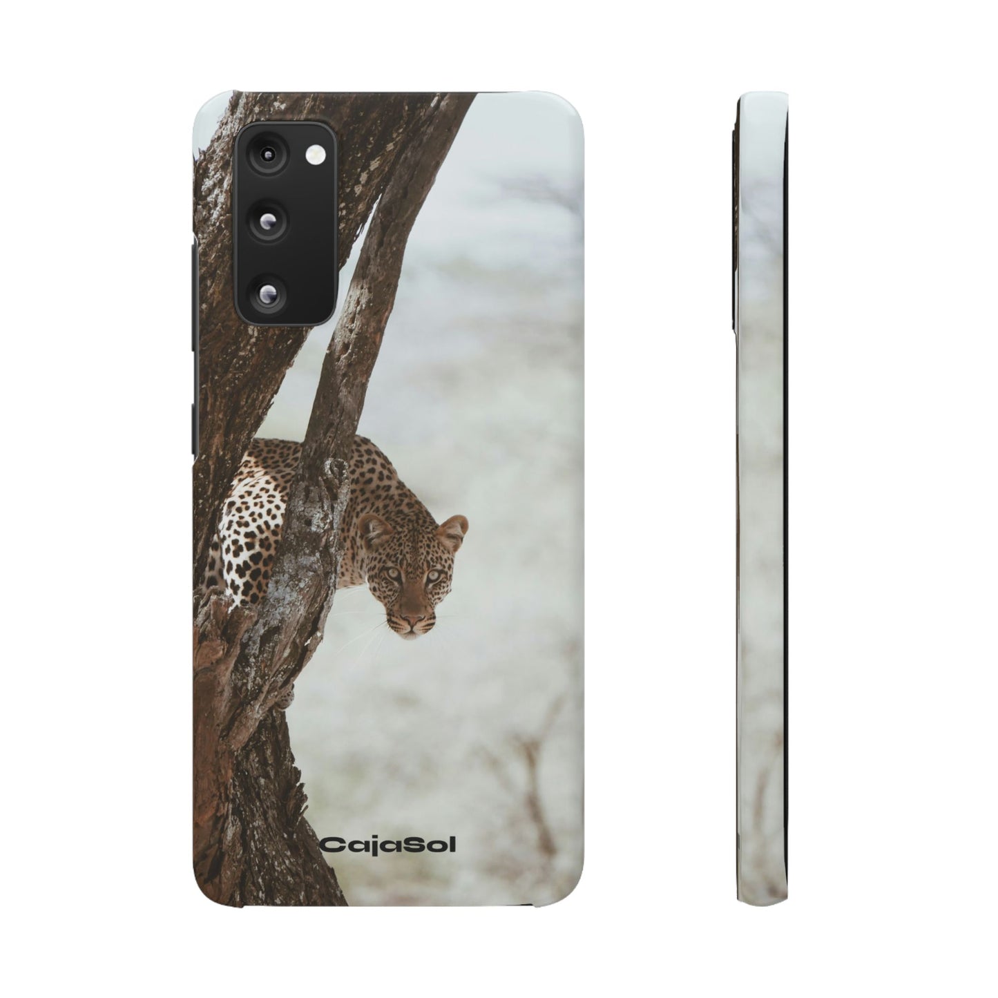 Leopard Cajasol - Wildlife Vibes