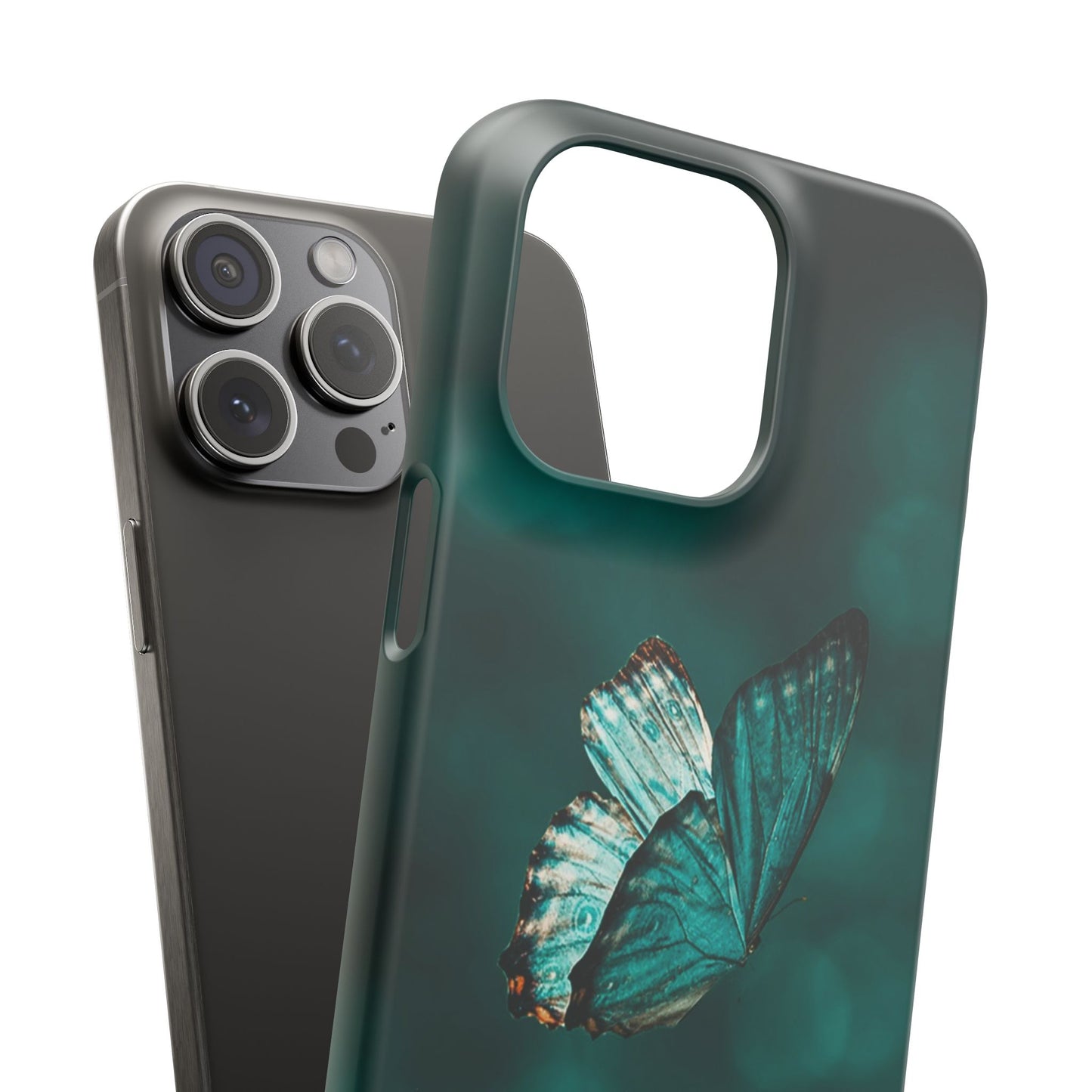 Butterfly Cajasol - Perfect for Nature Lovers