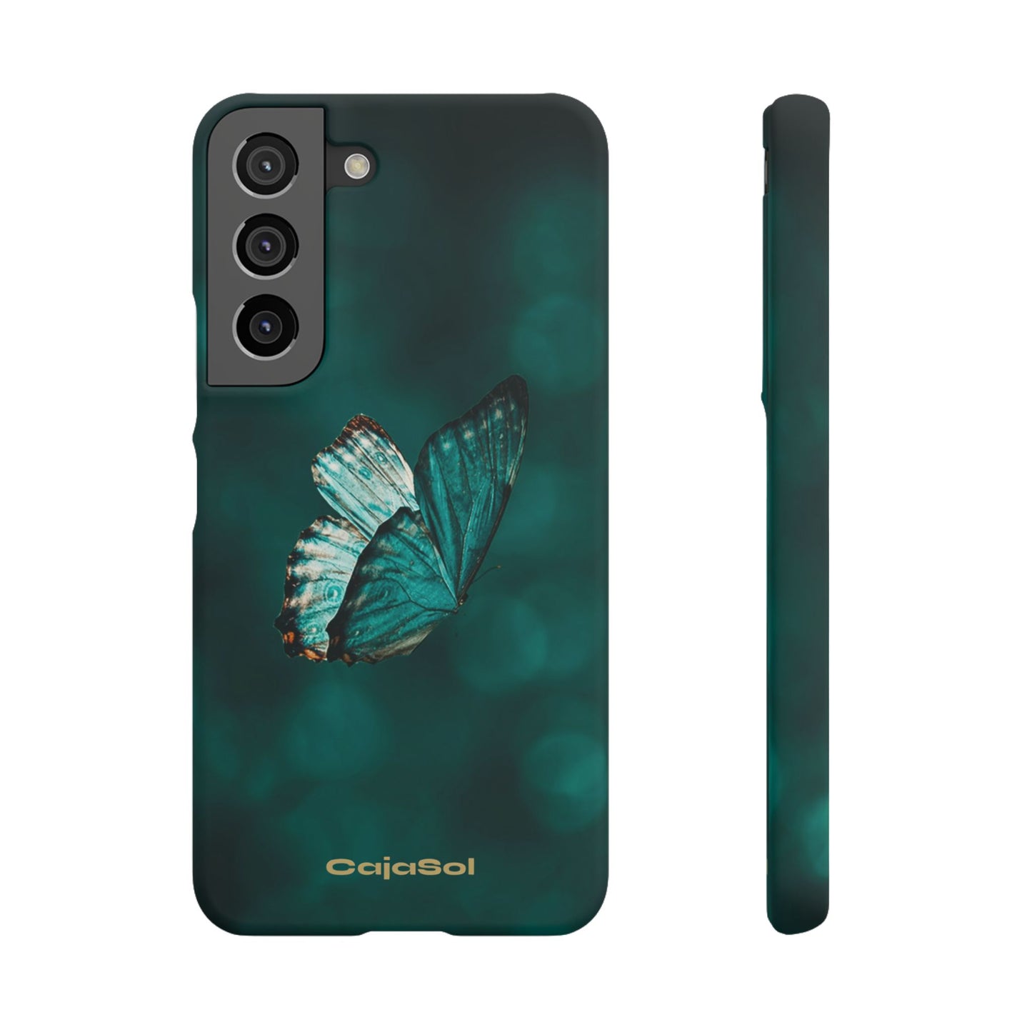 Butterfly Cajasol - Perfect for Nature Lovers