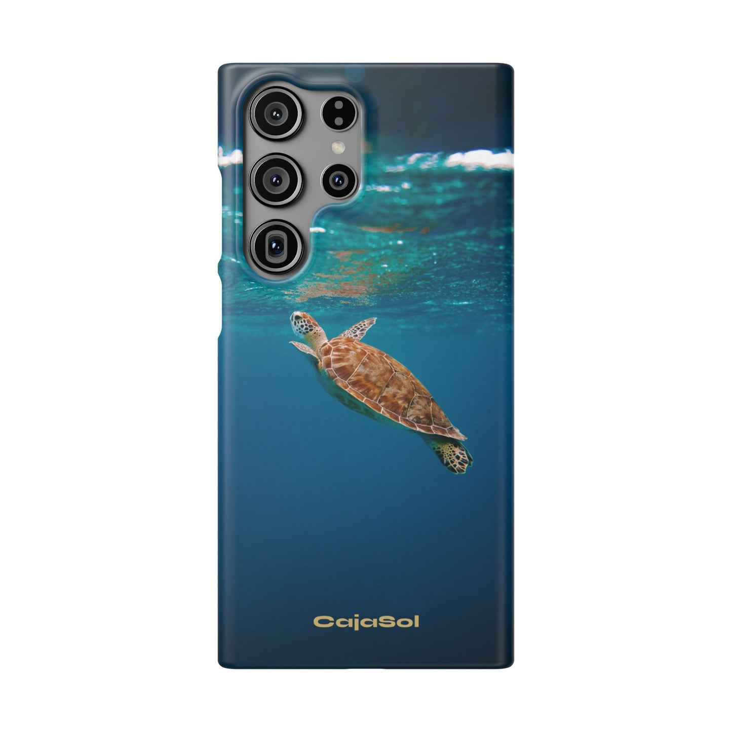 Sea Turtle Cajasol - Perfect for Beach Lovers
