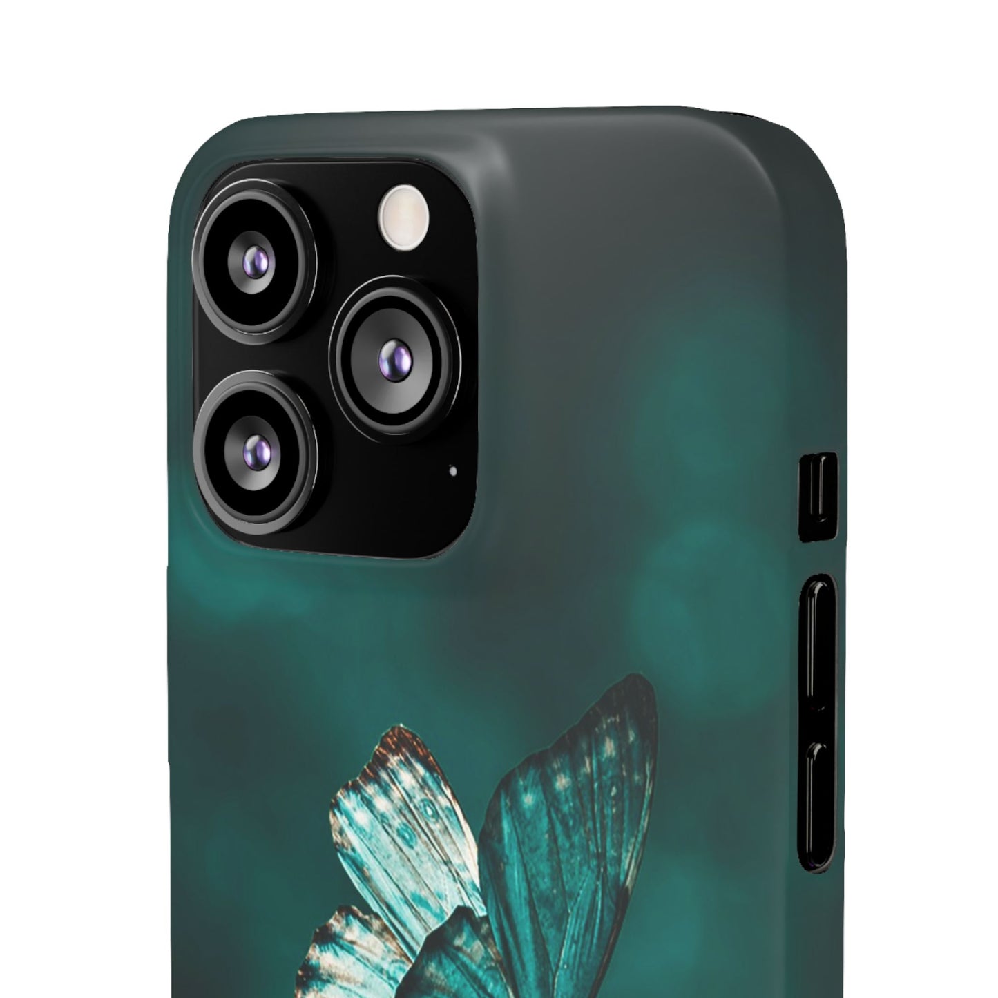 Butterfly Cajasol - Perfect for Nature Lovers