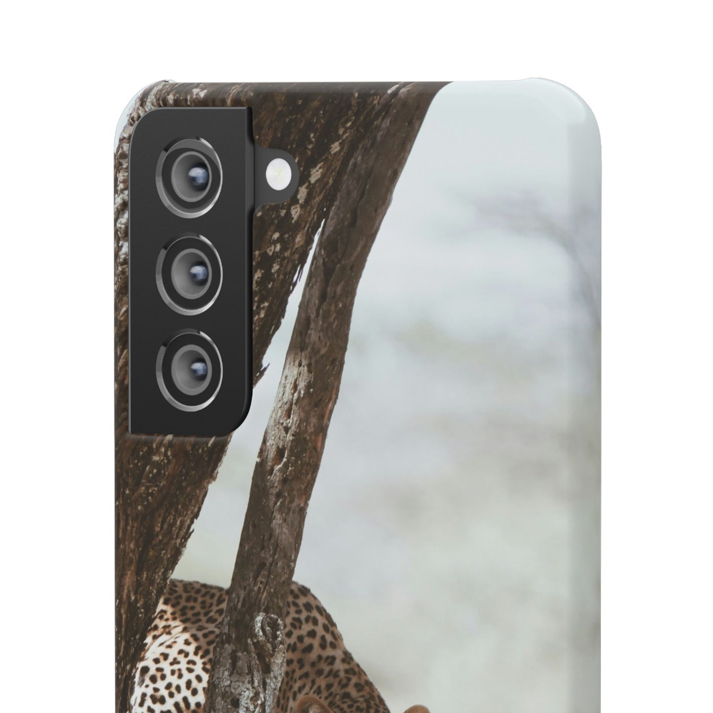 Leopard Cajasol - Wildlife Vibes