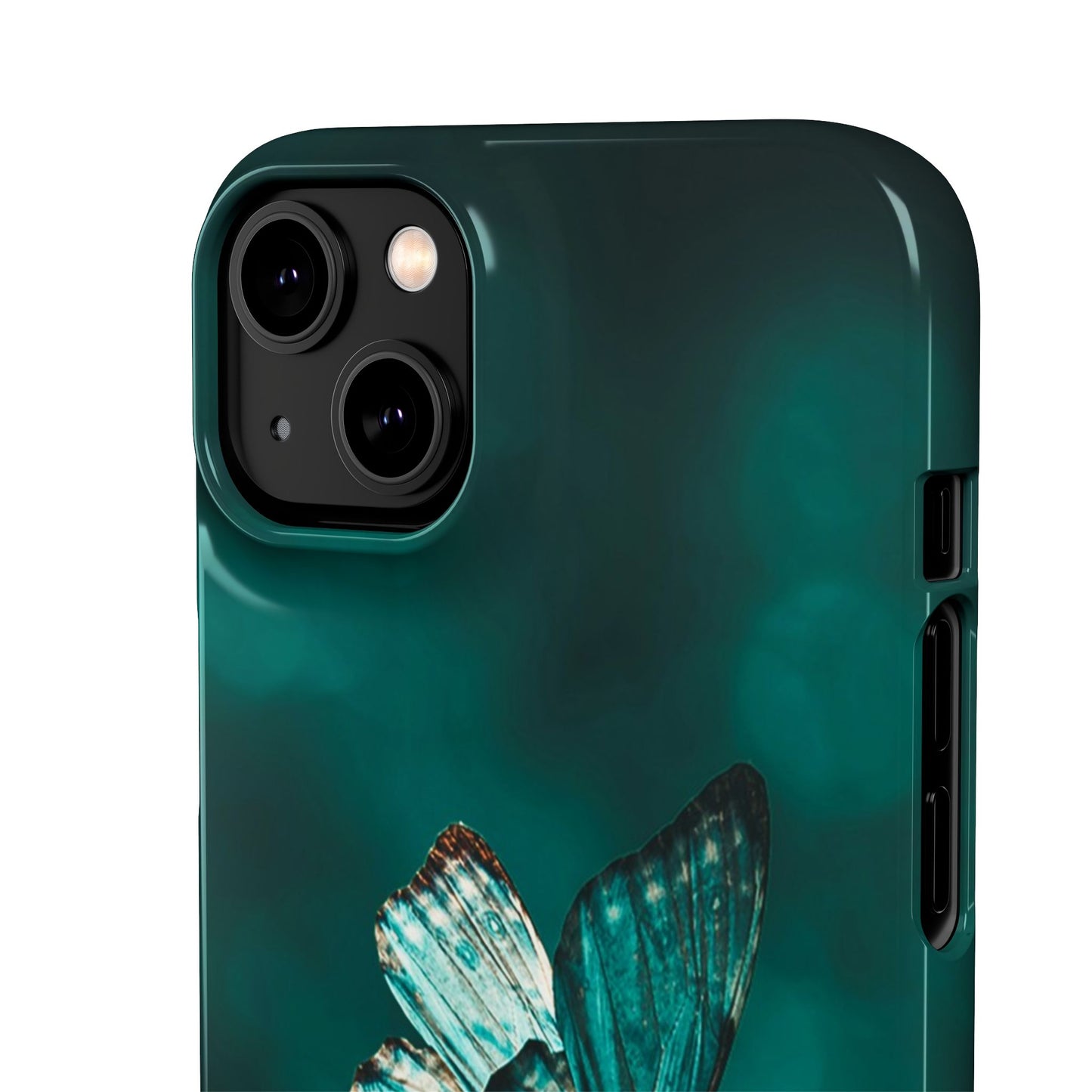 Butterfly Cajasol - Perfect for Nature Lovers