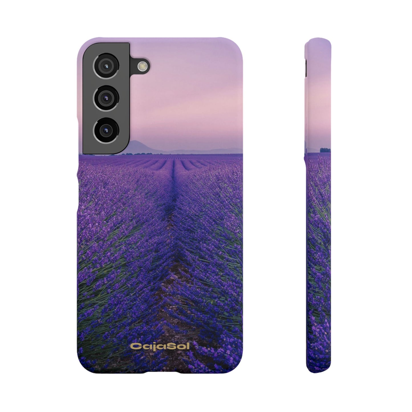 Lavender Fields Cajasol - A Floral Touch for Nature Lovers
