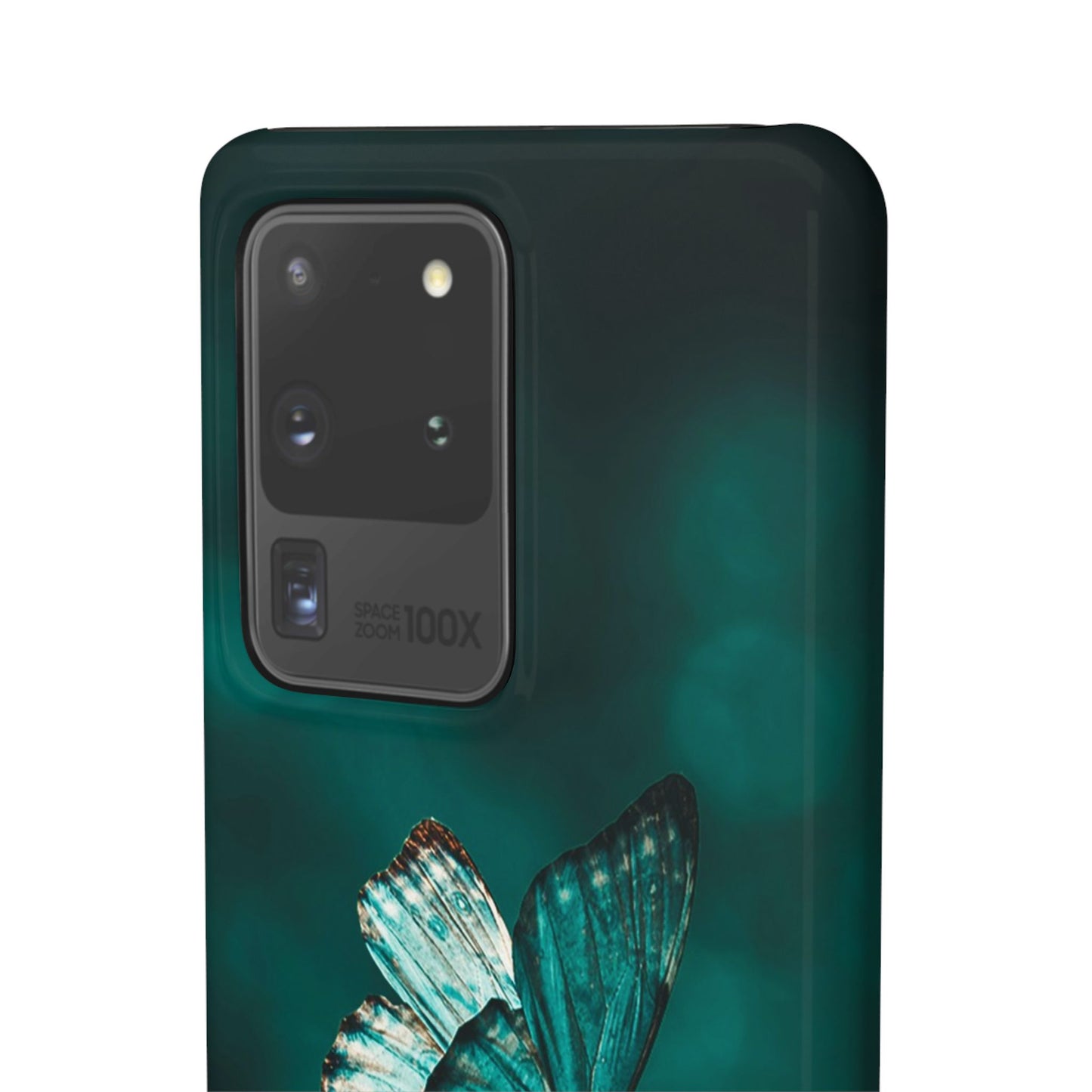Butterfly Cajasol - Perfect for Nature Lovers