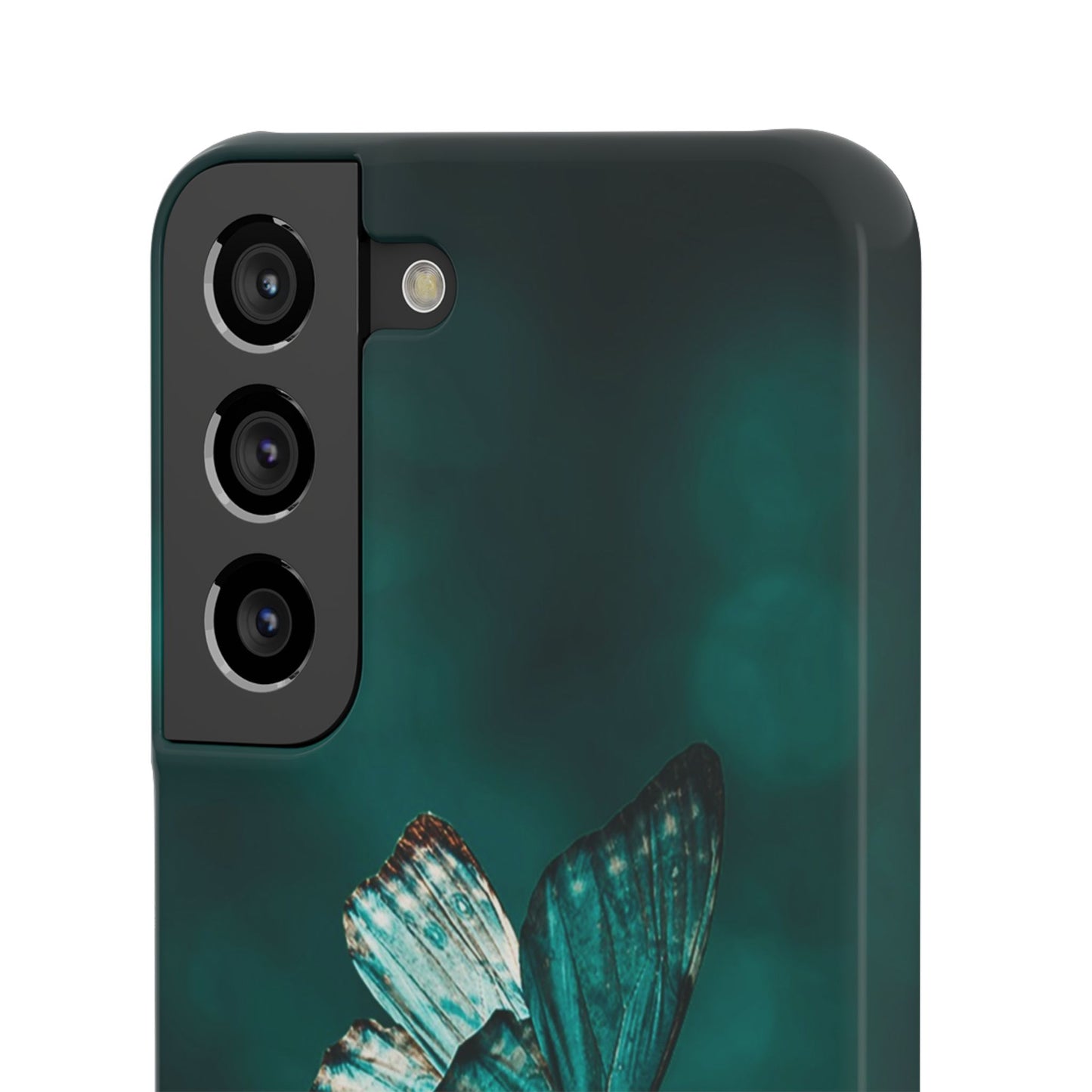 Butterfly Cajasol - Perfect for Nature Lovers