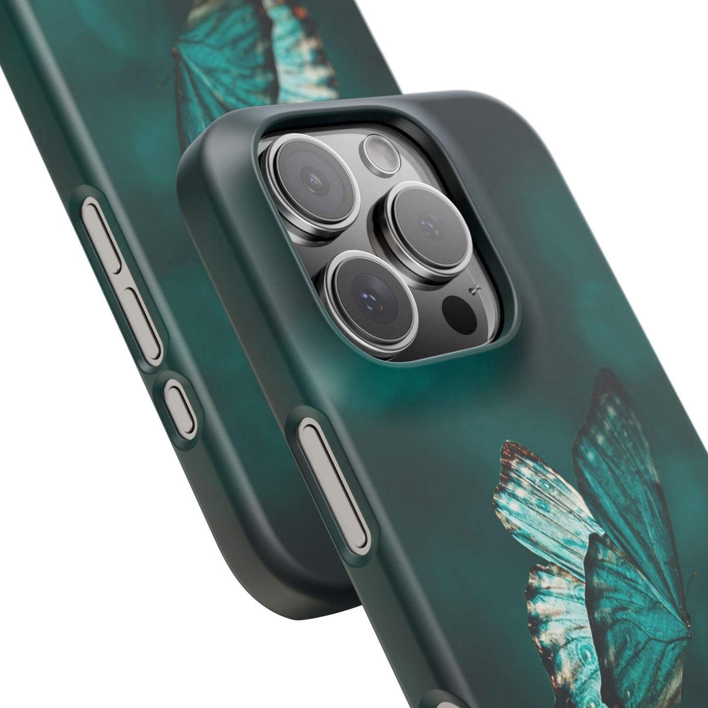 Butterfly Cajasol - Perfect for Nature Lovers