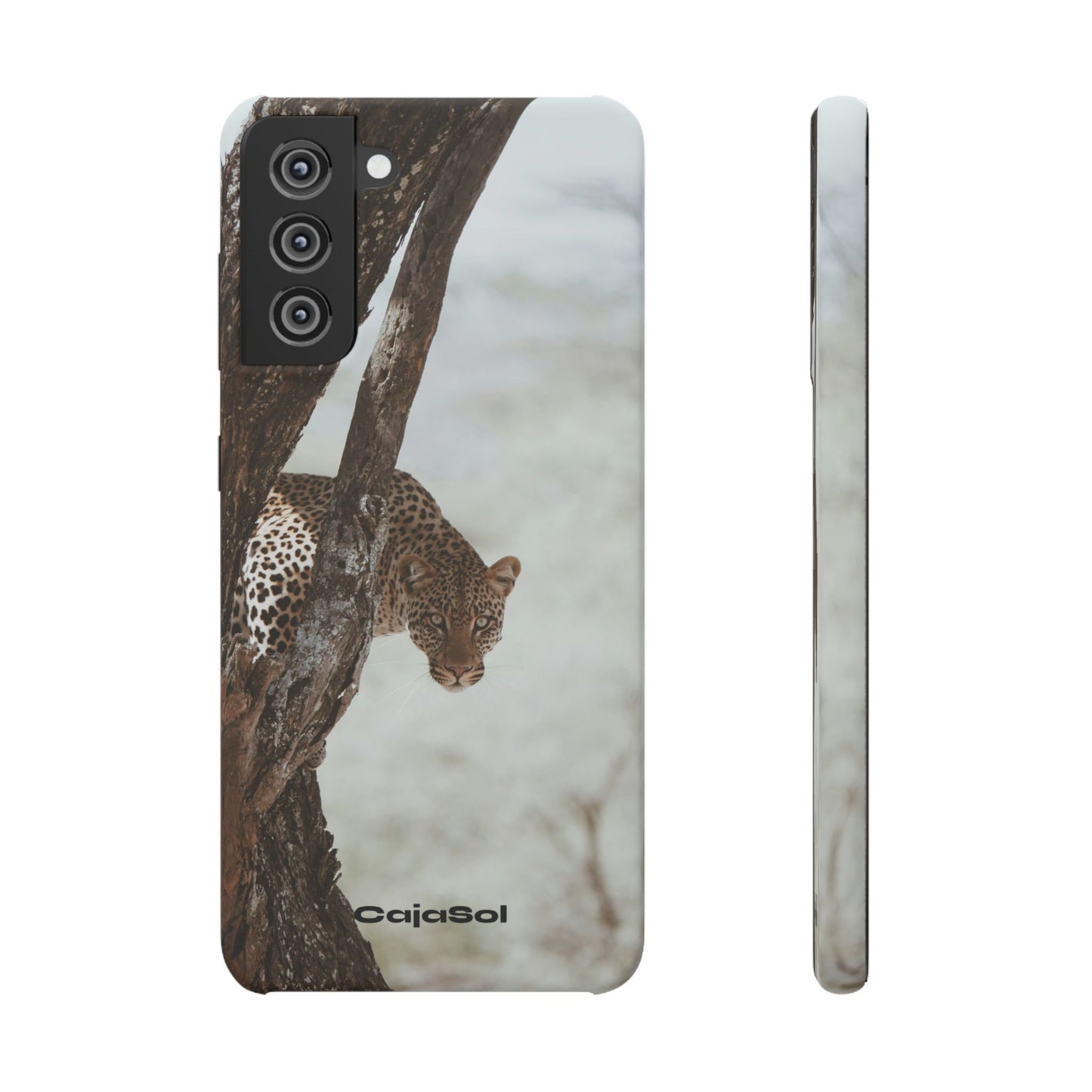 Leopard Cajasol - Wildlife Vibes