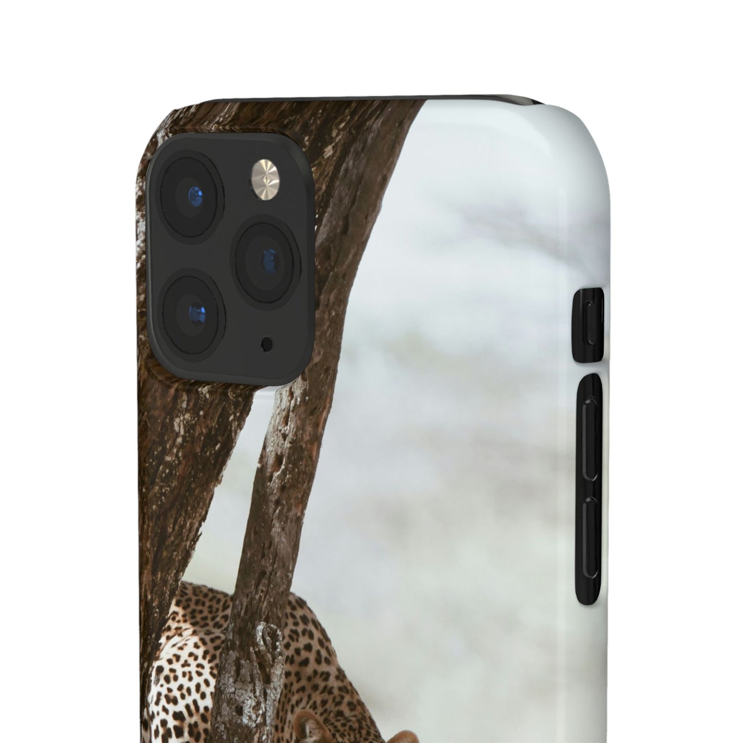 Leopard Cajasol - Wildlife Vibes