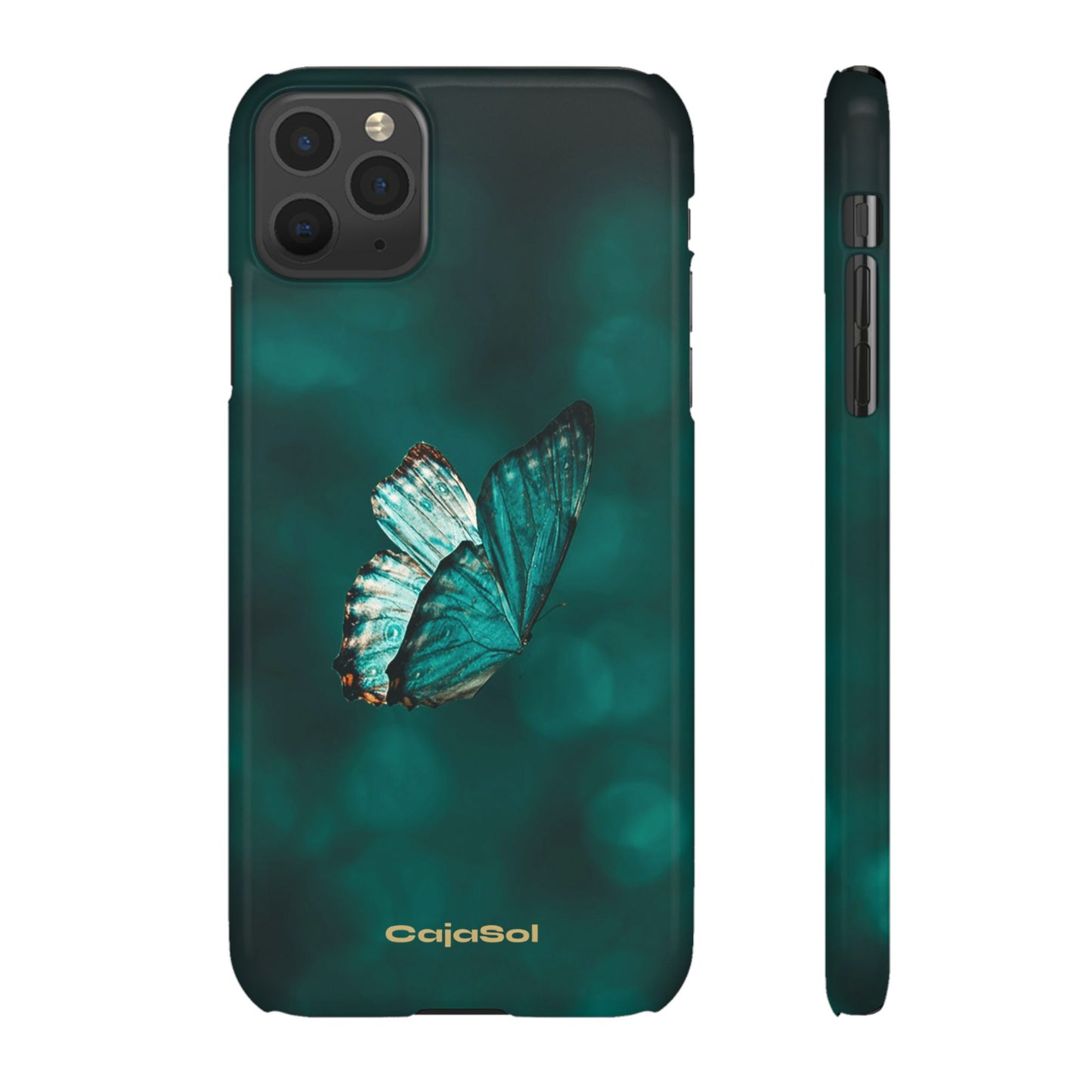 Butterfly Cajasol - Perfect for Nature Lovers