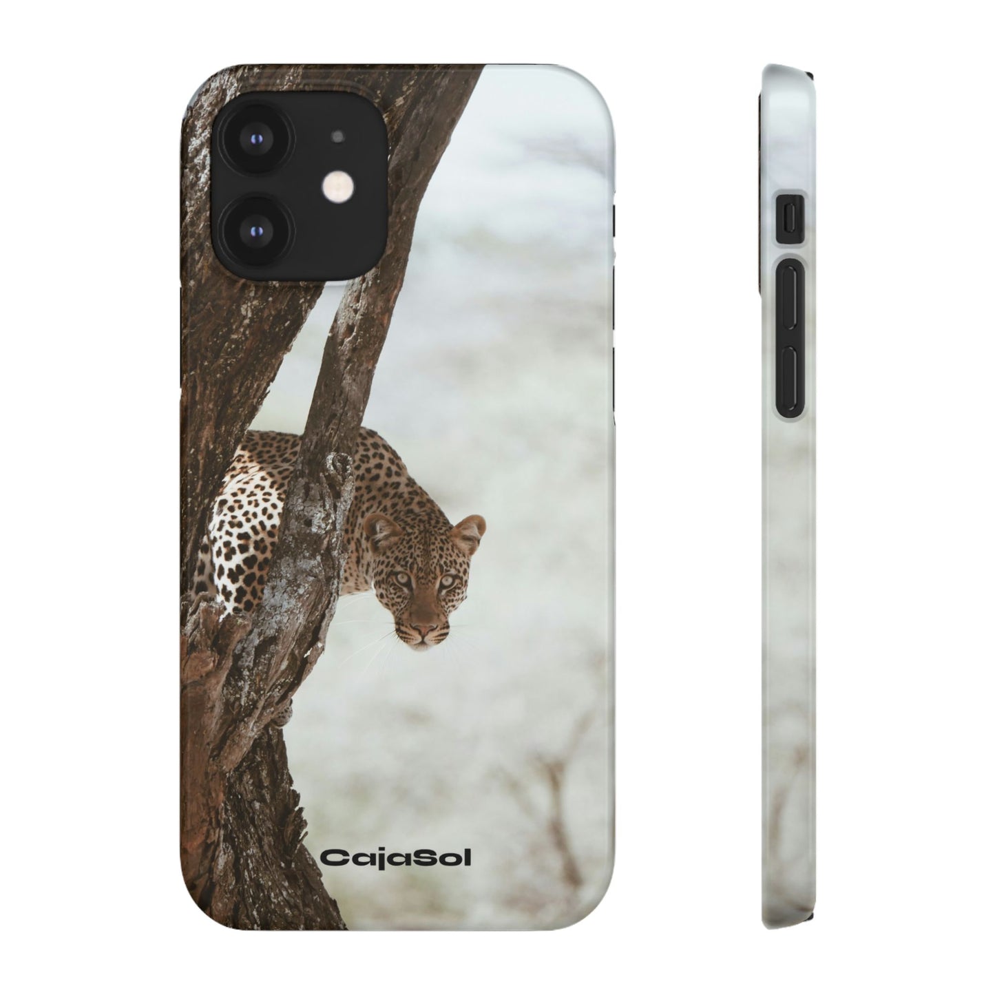 Leopard Cajasol - Wildlife Vibes