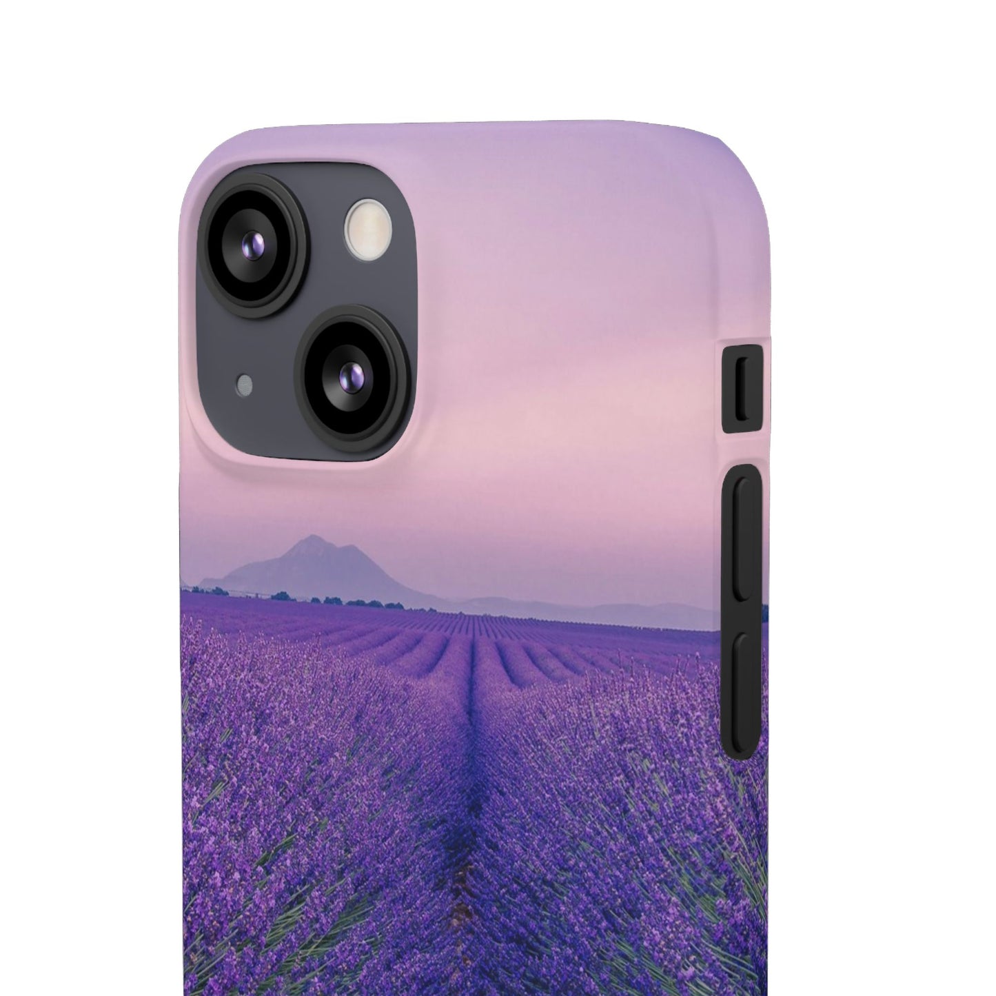 Lavender Fields Cajasol - A Floral Touch for Nature Lovers